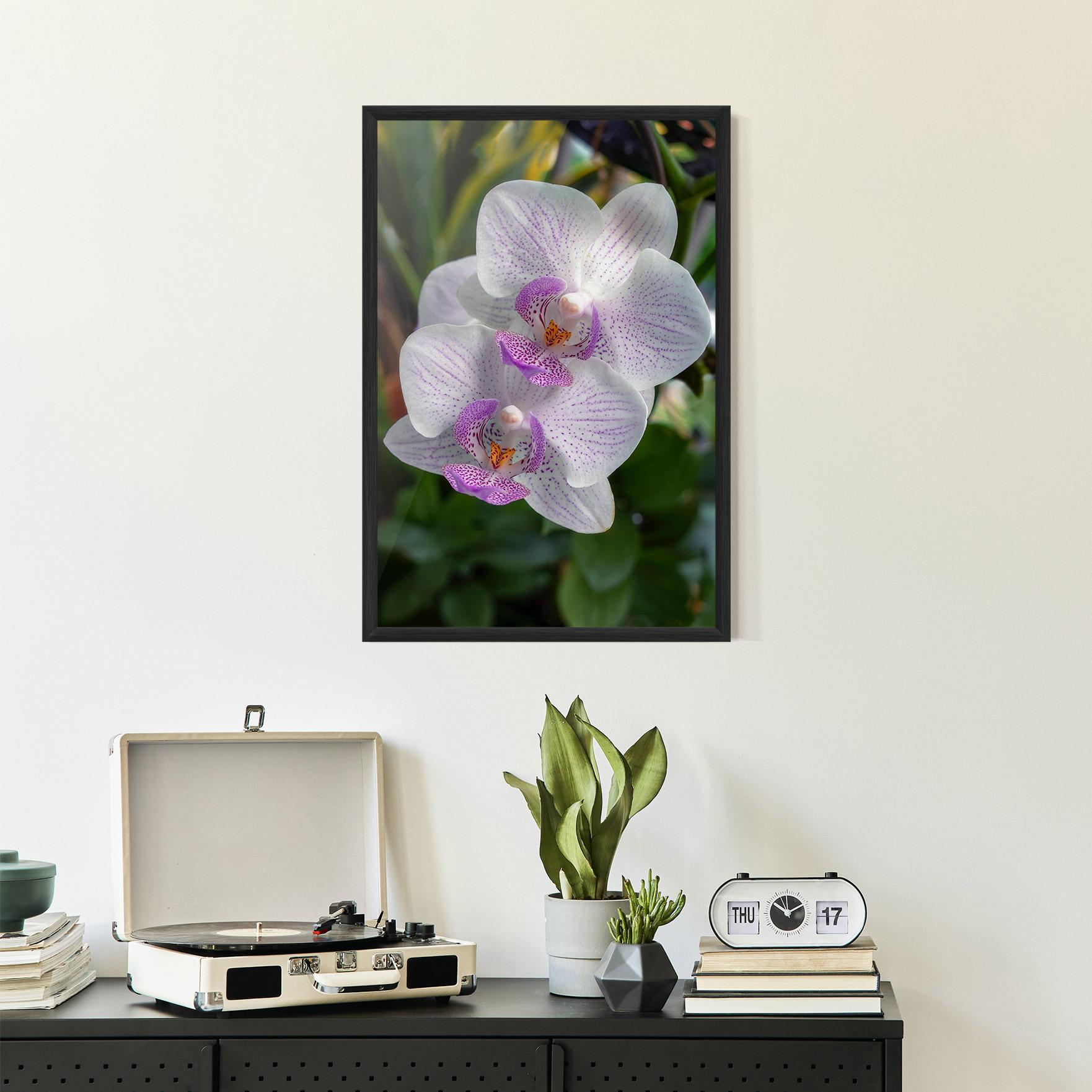 Plakat w Ramie White Orchids mockup 2