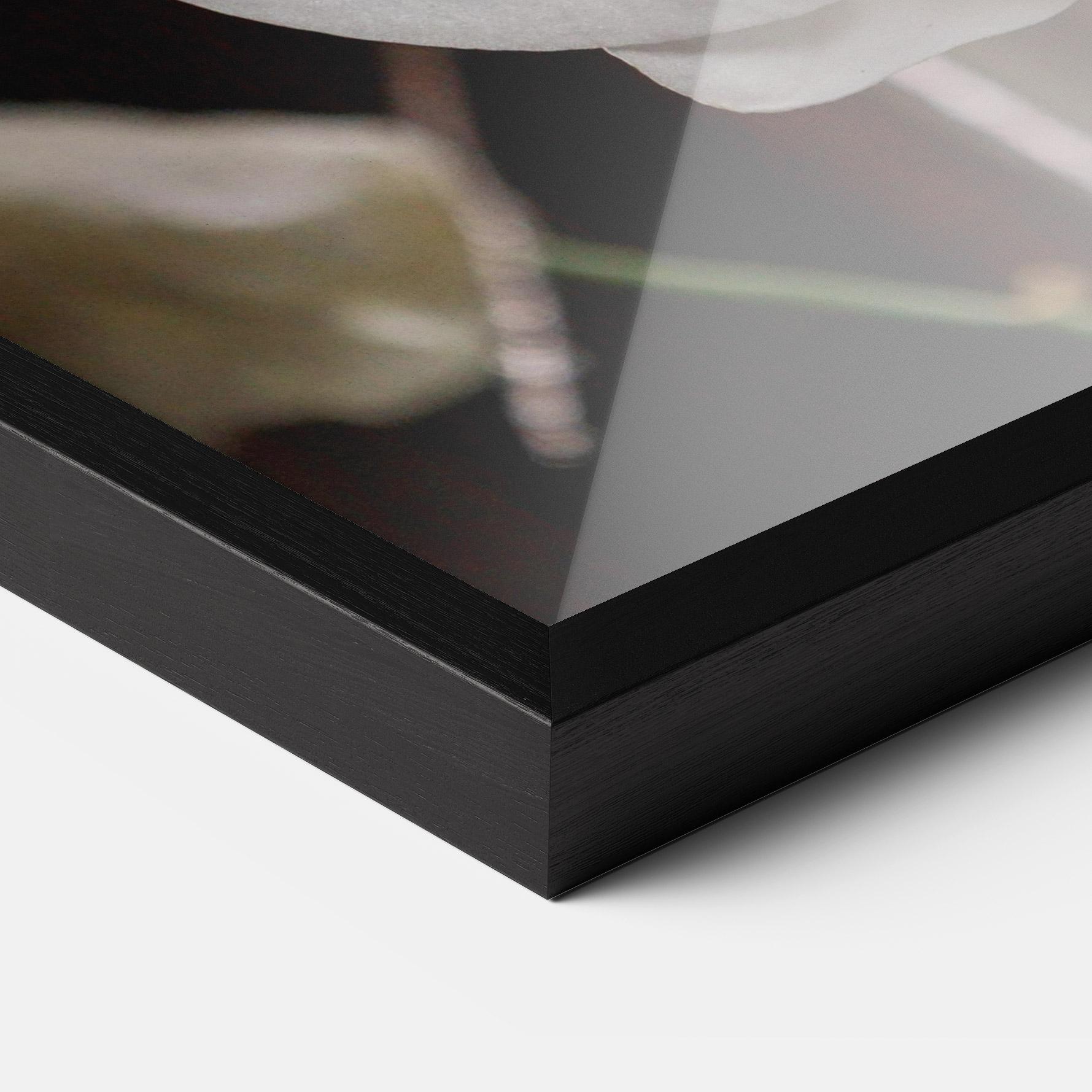 Plakat w Ramie White Orchid Growing mockup 3