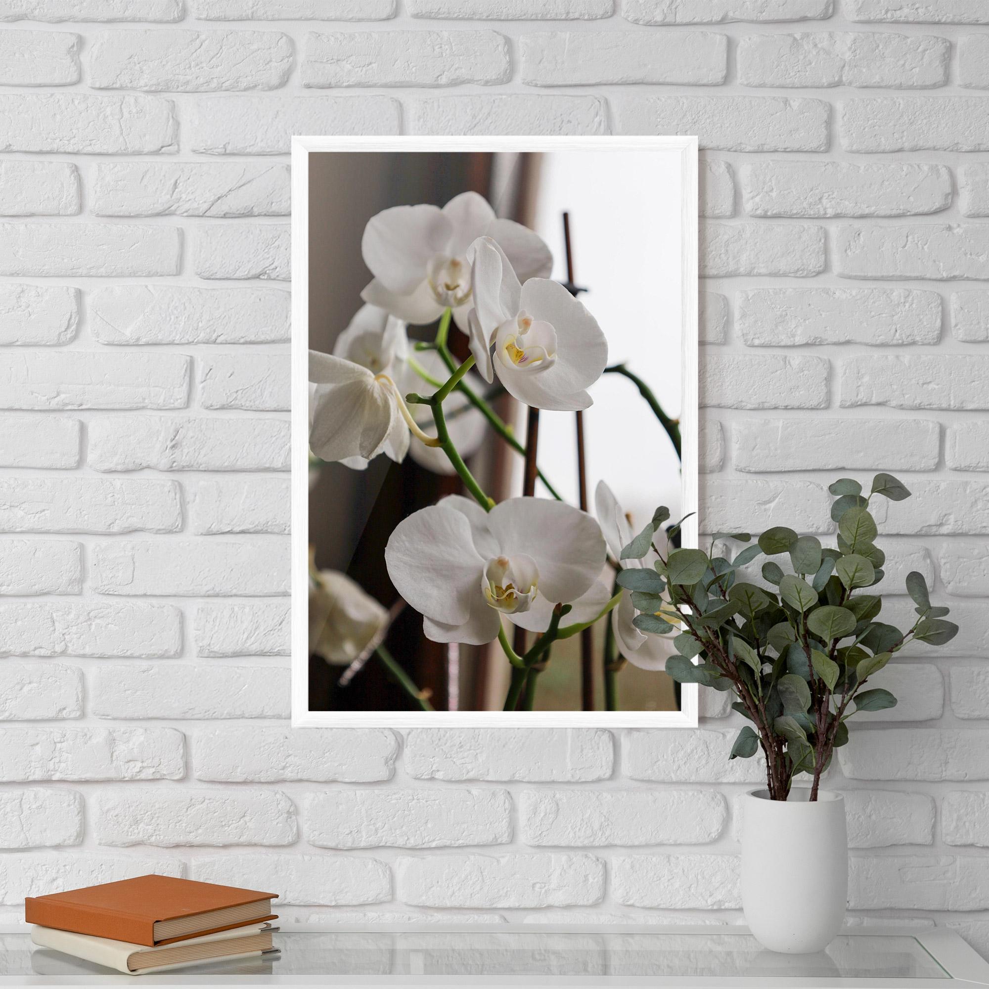 Plakat w Ramie White Orchid Growing mockup 5
