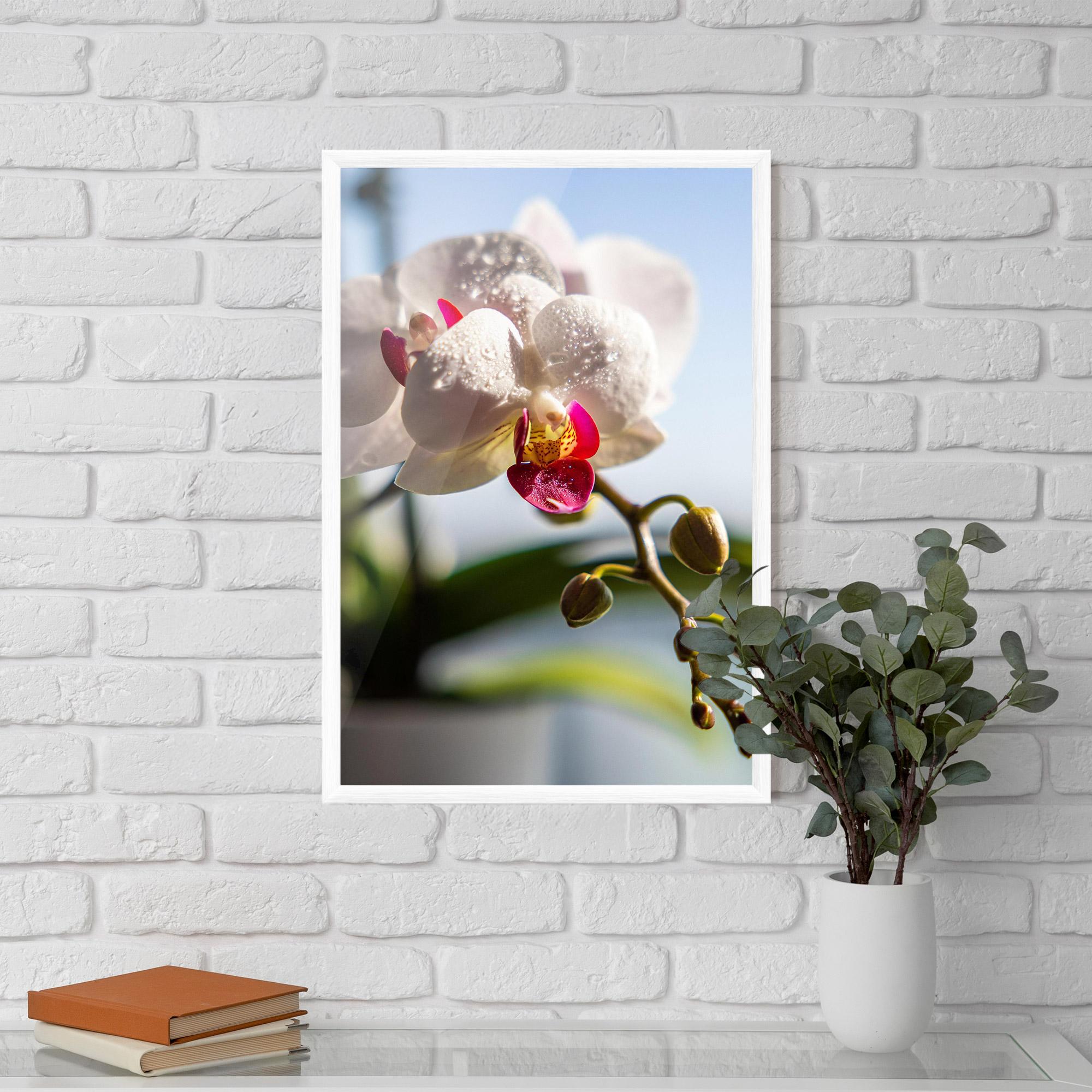 Plakat w Ramie White Orchid With Water mockup 5