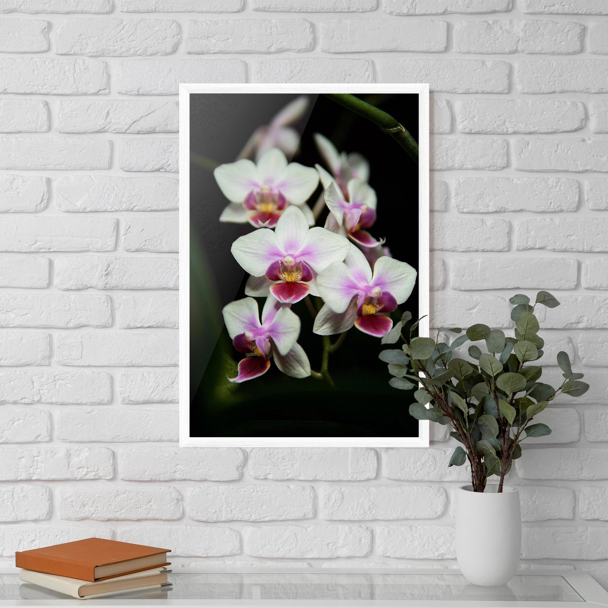Plakat w Ramie Wild White Purple Orchid mockup 5