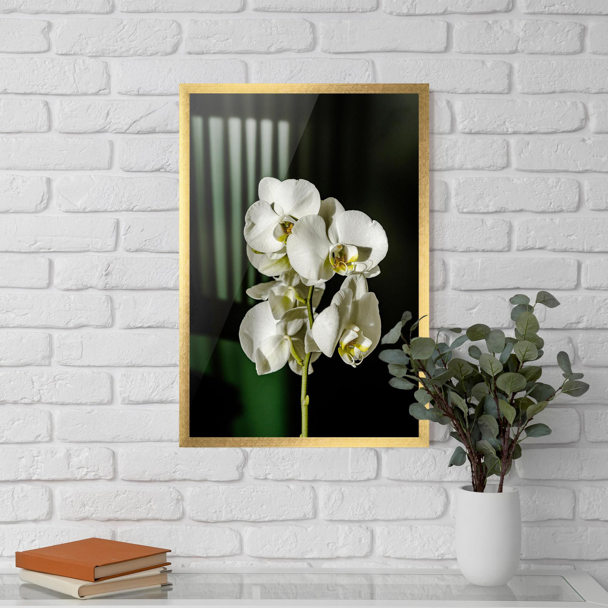 Plakat w Ramie Orchid On Green mockup 5