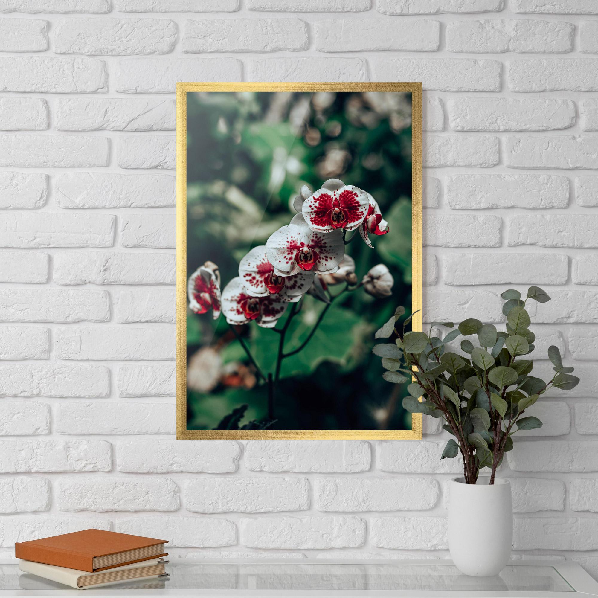Plakat w Ramie White Red Orchid mockup 5