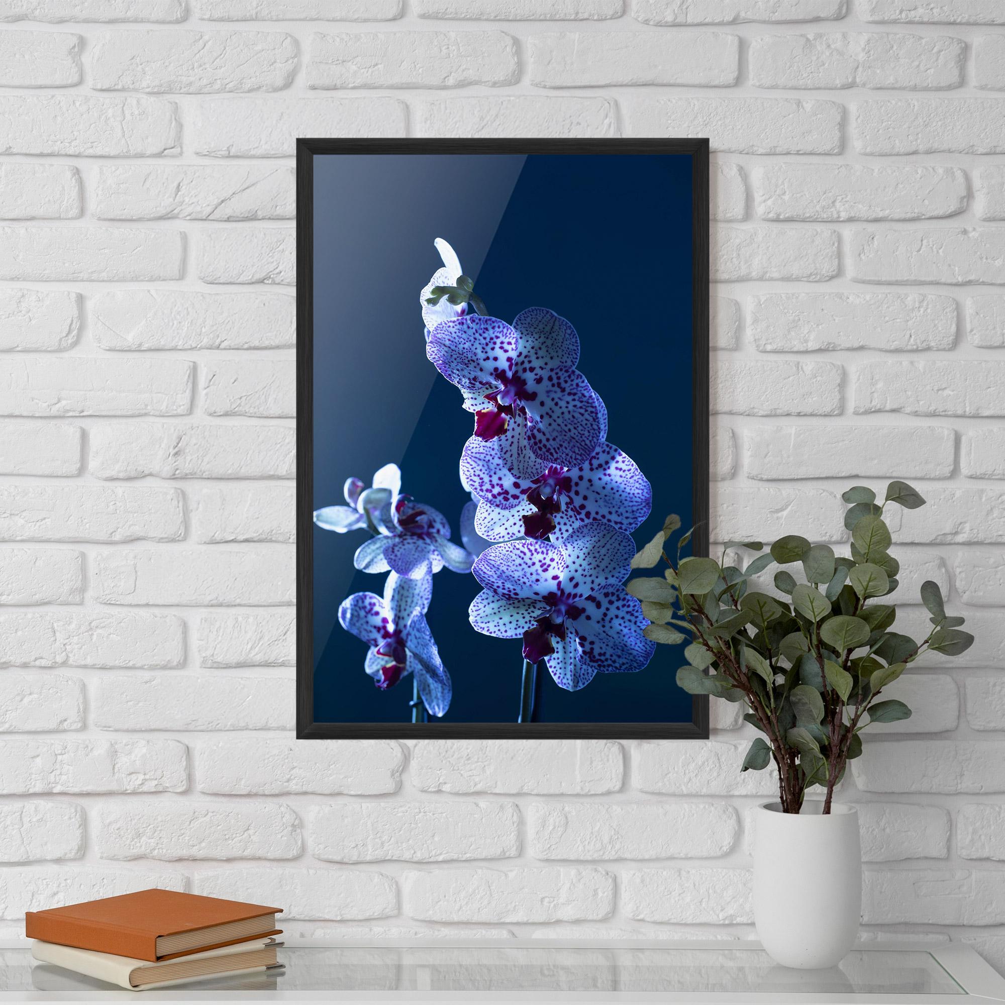 Plakat w Ramie Blue Light Orchid mockup 5