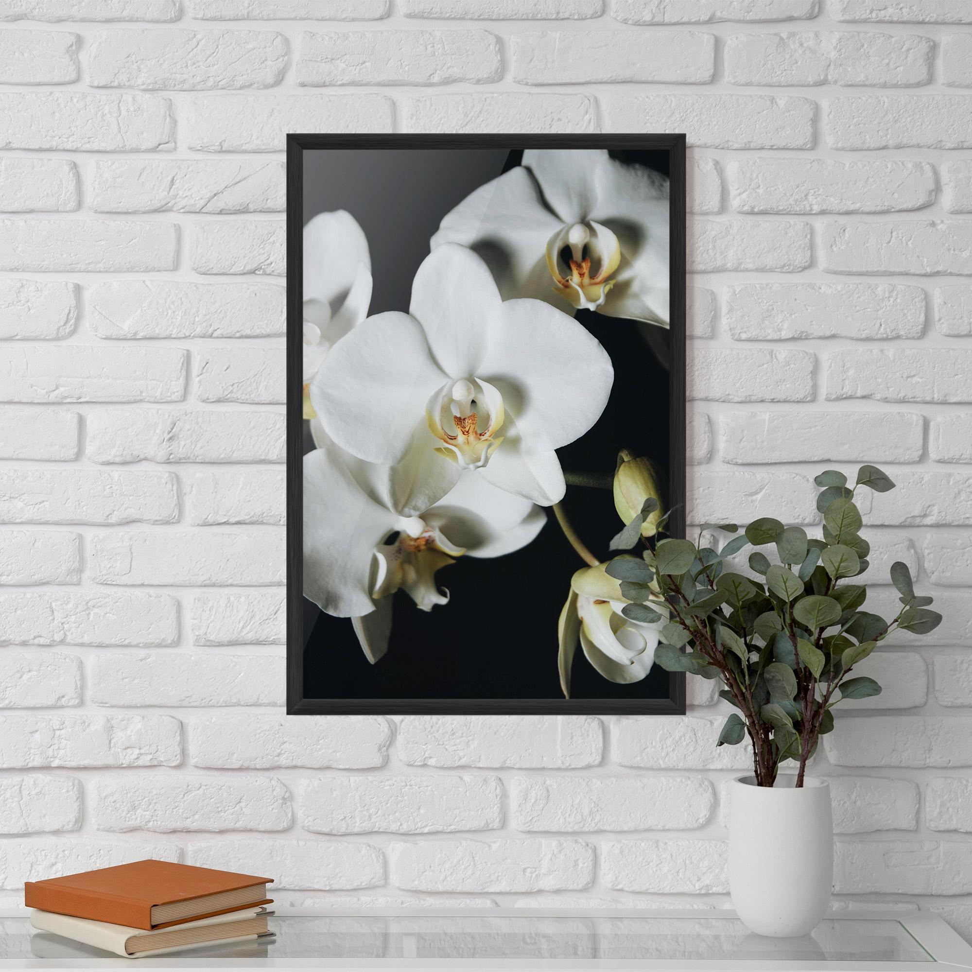 Plakat w Ramie White Orchid On Black mockup 5