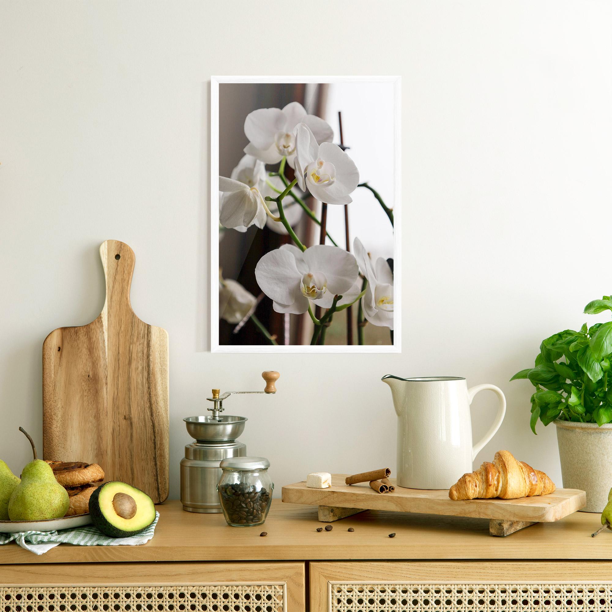 Plakat w Ramie White Orchid Growing mockup 8