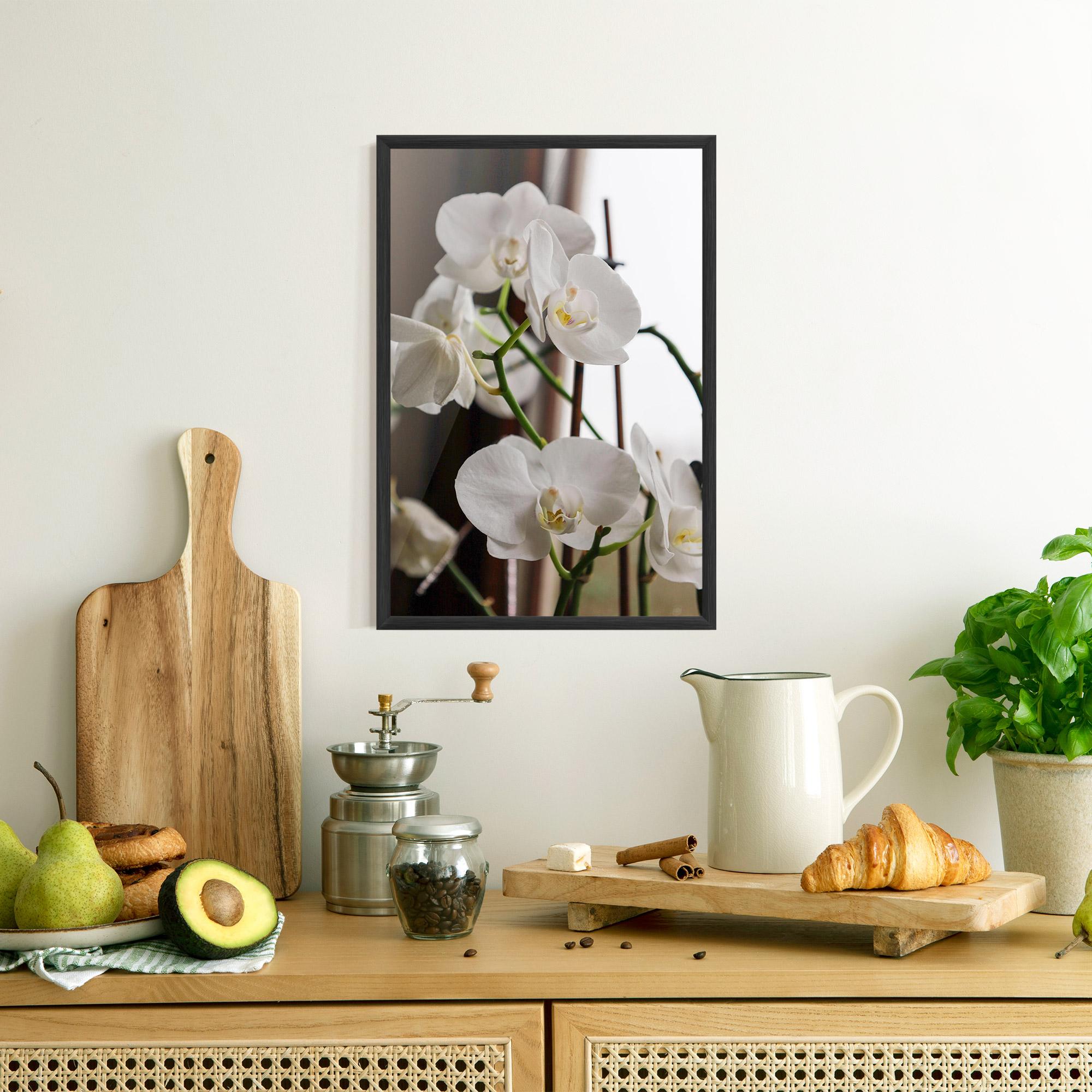 Plakat w Ramie White Orchid Growing mockup 8