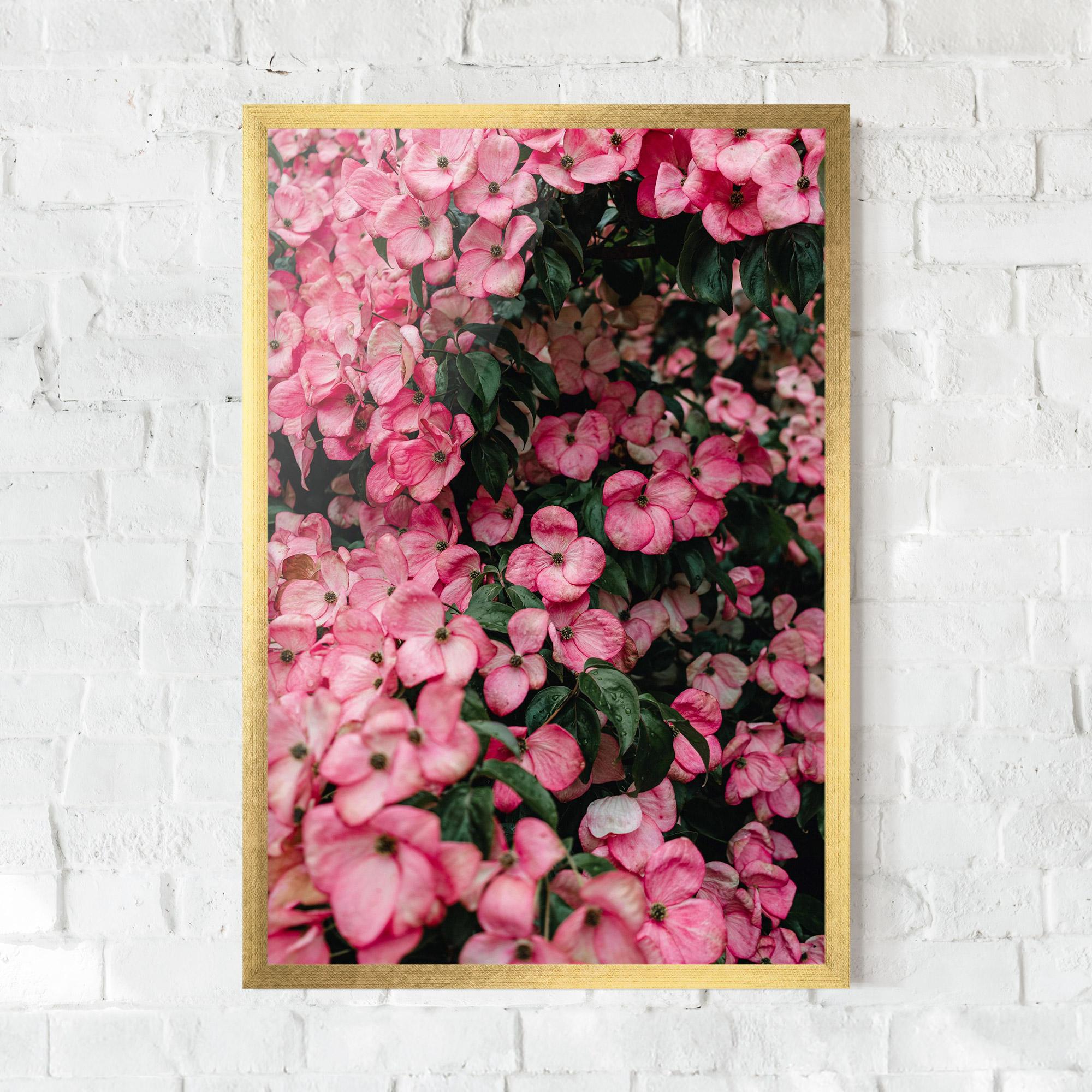Plakat w Ramie Pink Rose Flower Tree mockup 0