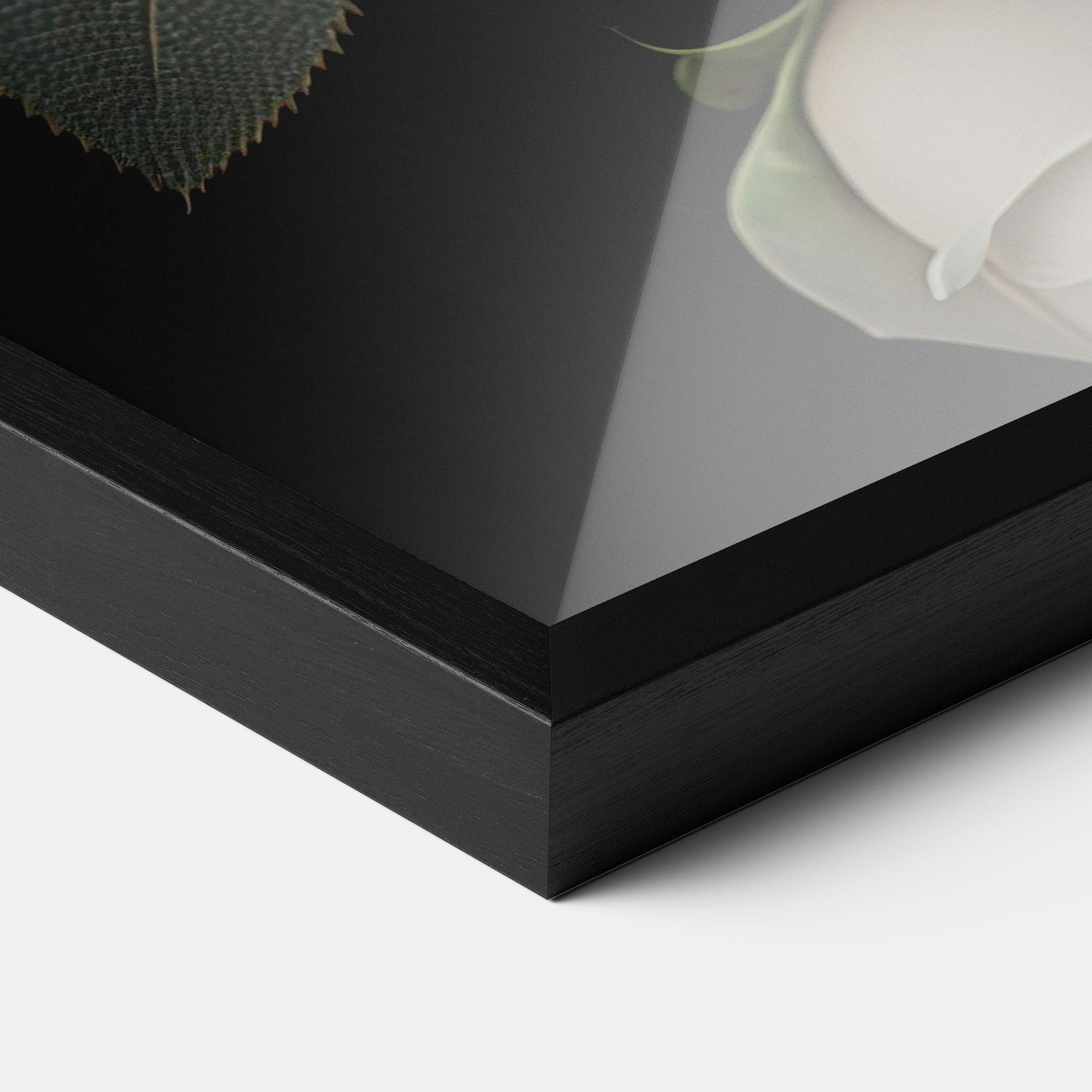 Plakat w Ramie Cream Roses Close Up mockup 3