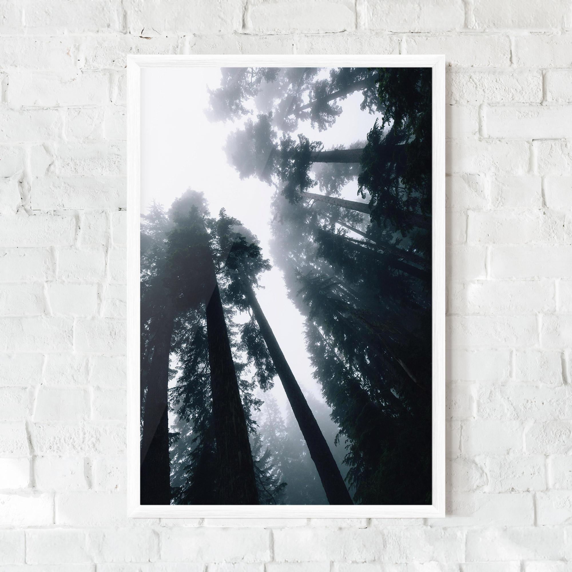 Plakat w Ramie Foggy Big Trees mockup 0