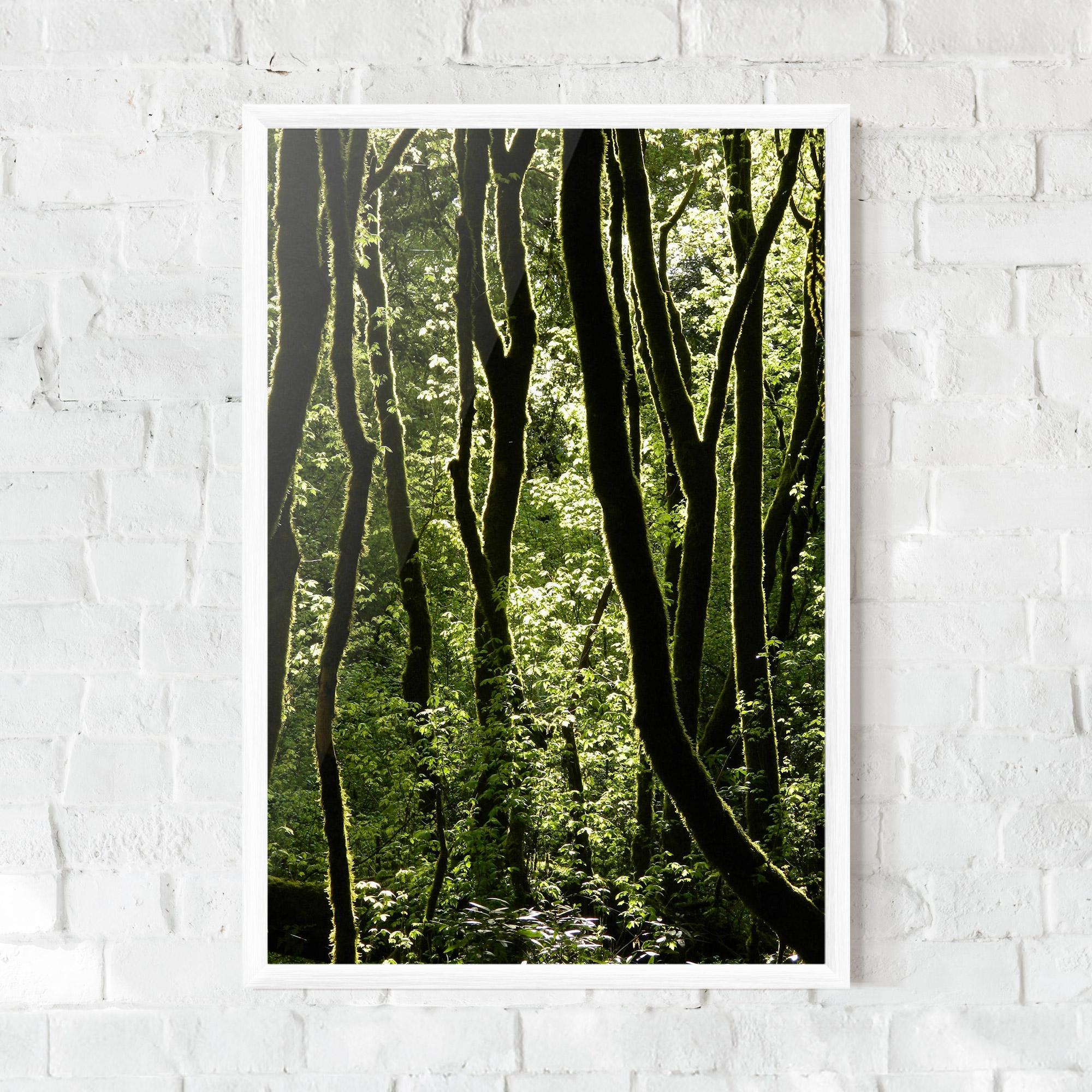 Plakat w Ramie Forest Black Trees mockup 0