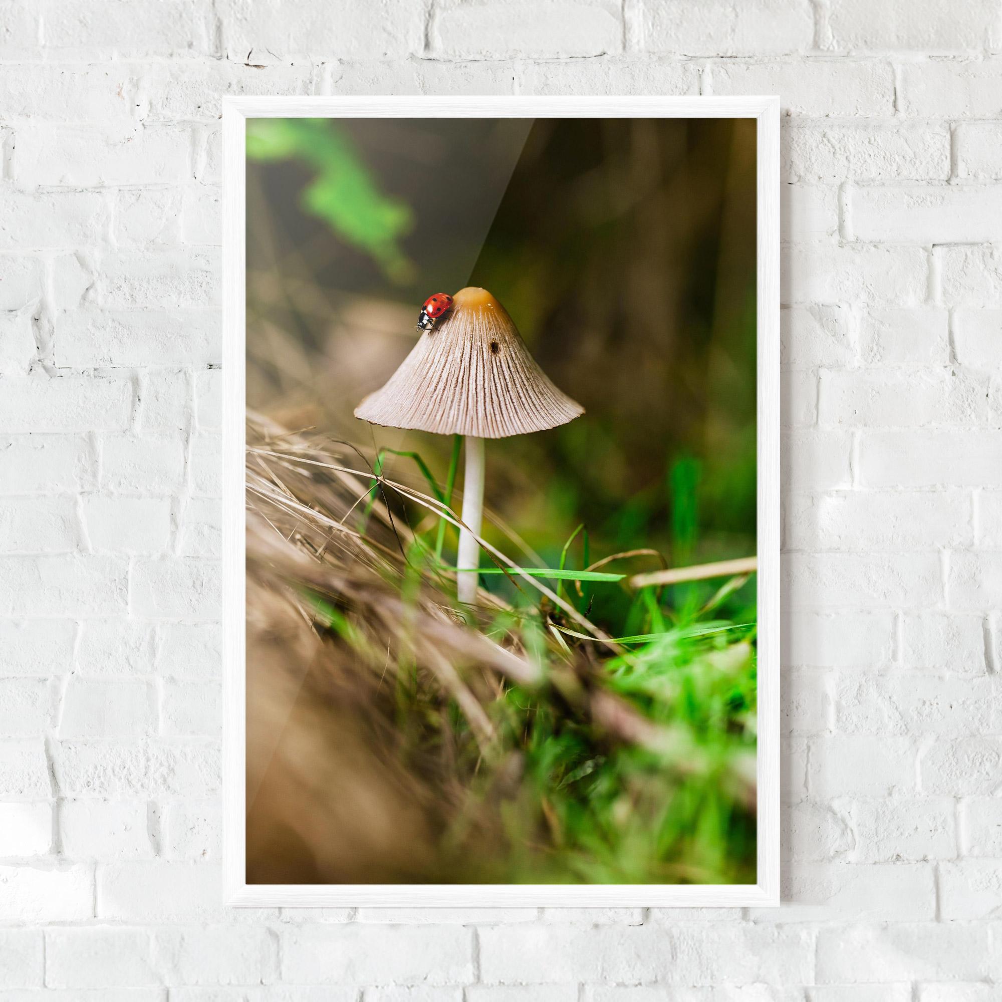 Plakat w Ramie Mushroom Forest mockup 0