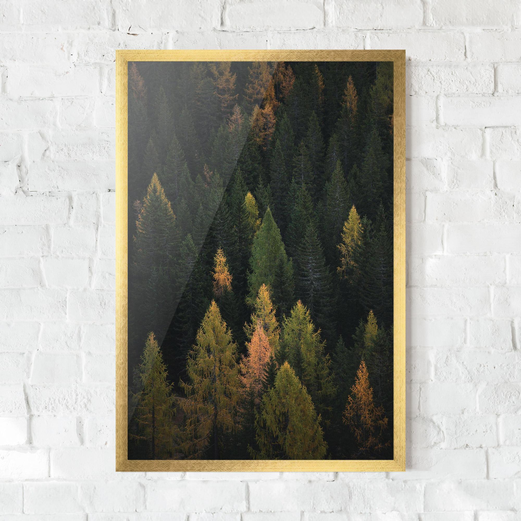 Plakat w Ramie Color Mix Tree mockup 0