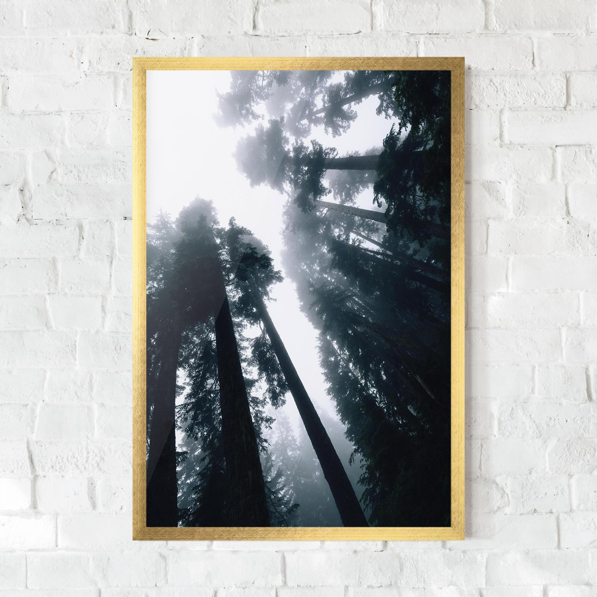 Plakat w Ramie Foggy Big Trees mockup 0