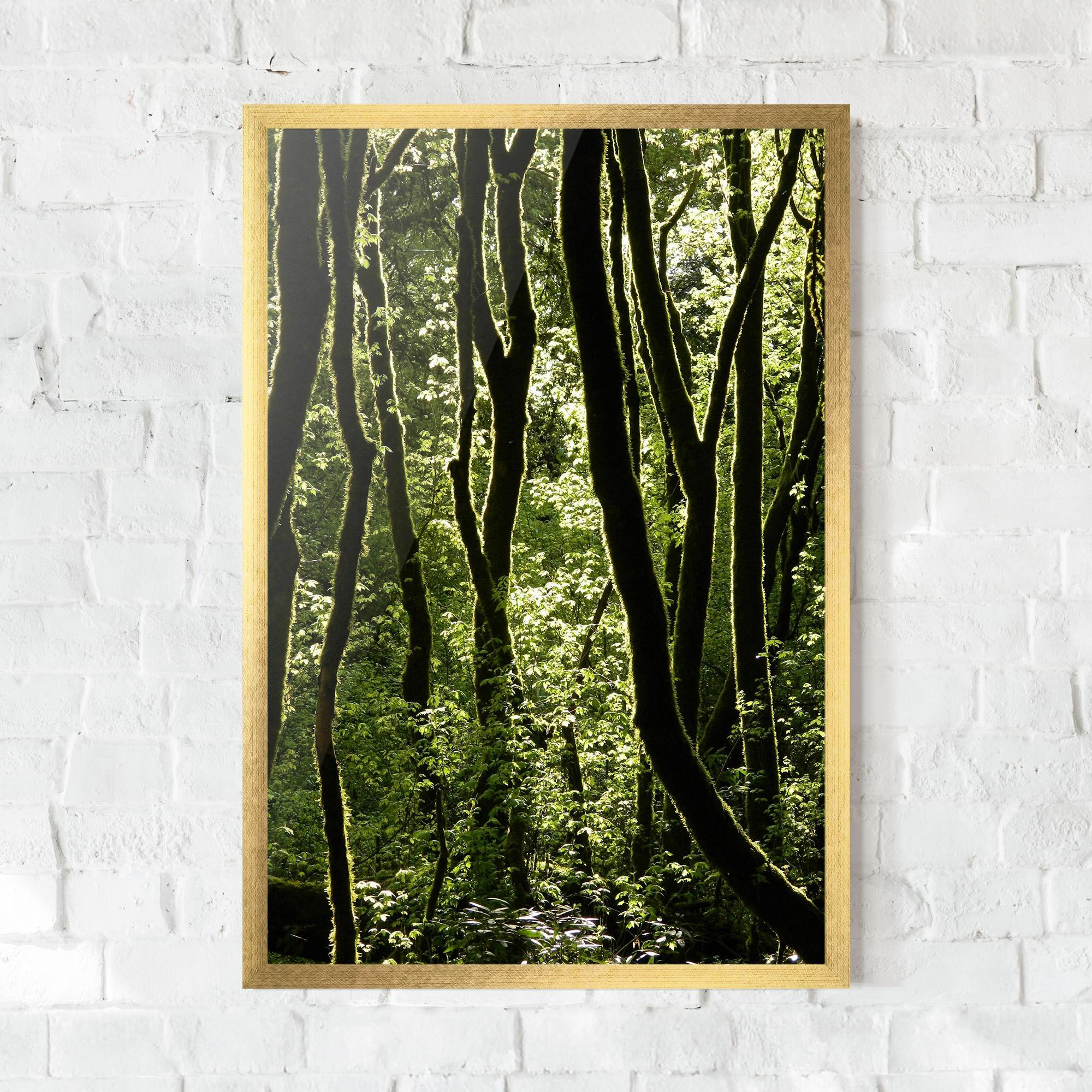Plakat w Ramie Forest Black Trees mockup 0