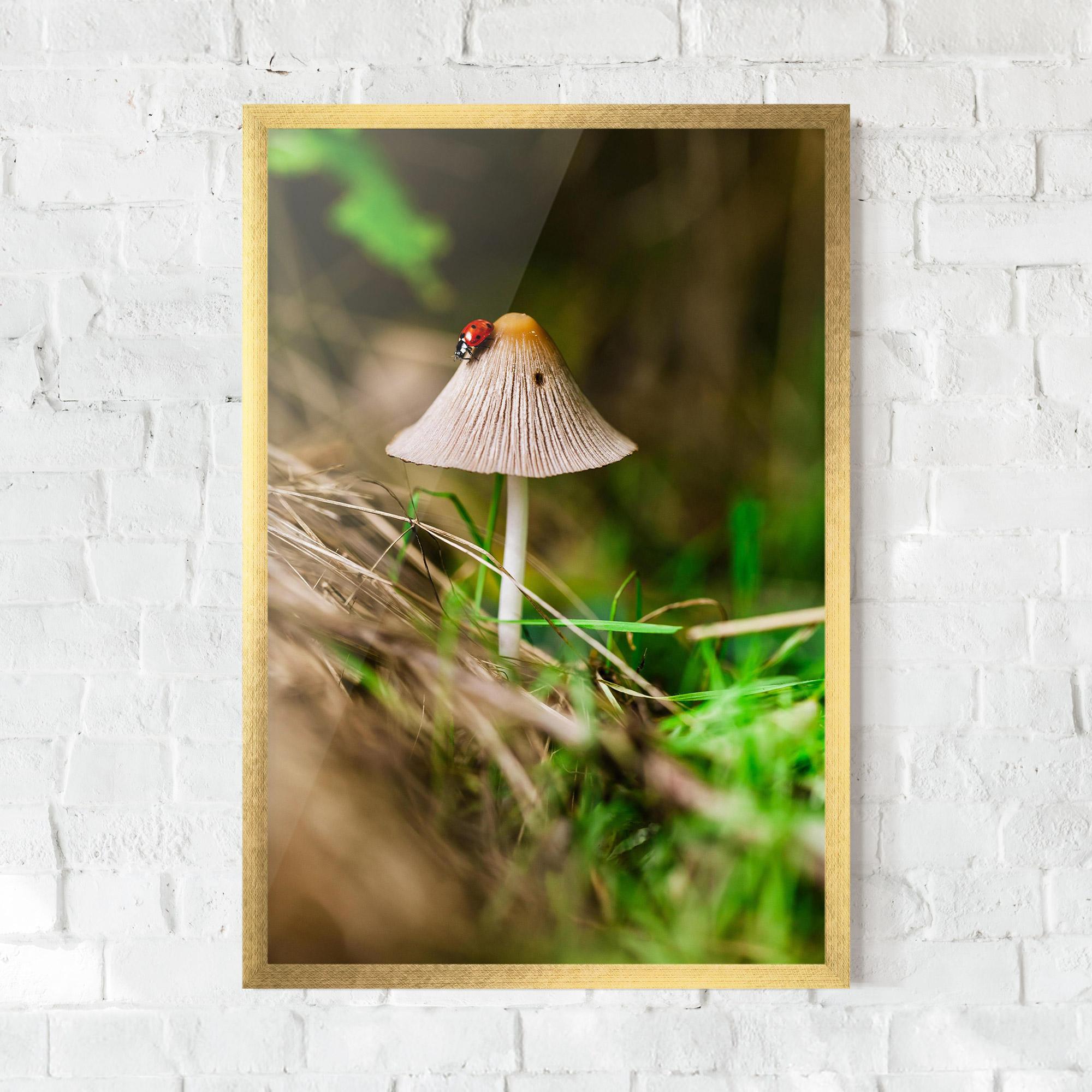 Plakat w Ramie Mushroom Forest mockup 0