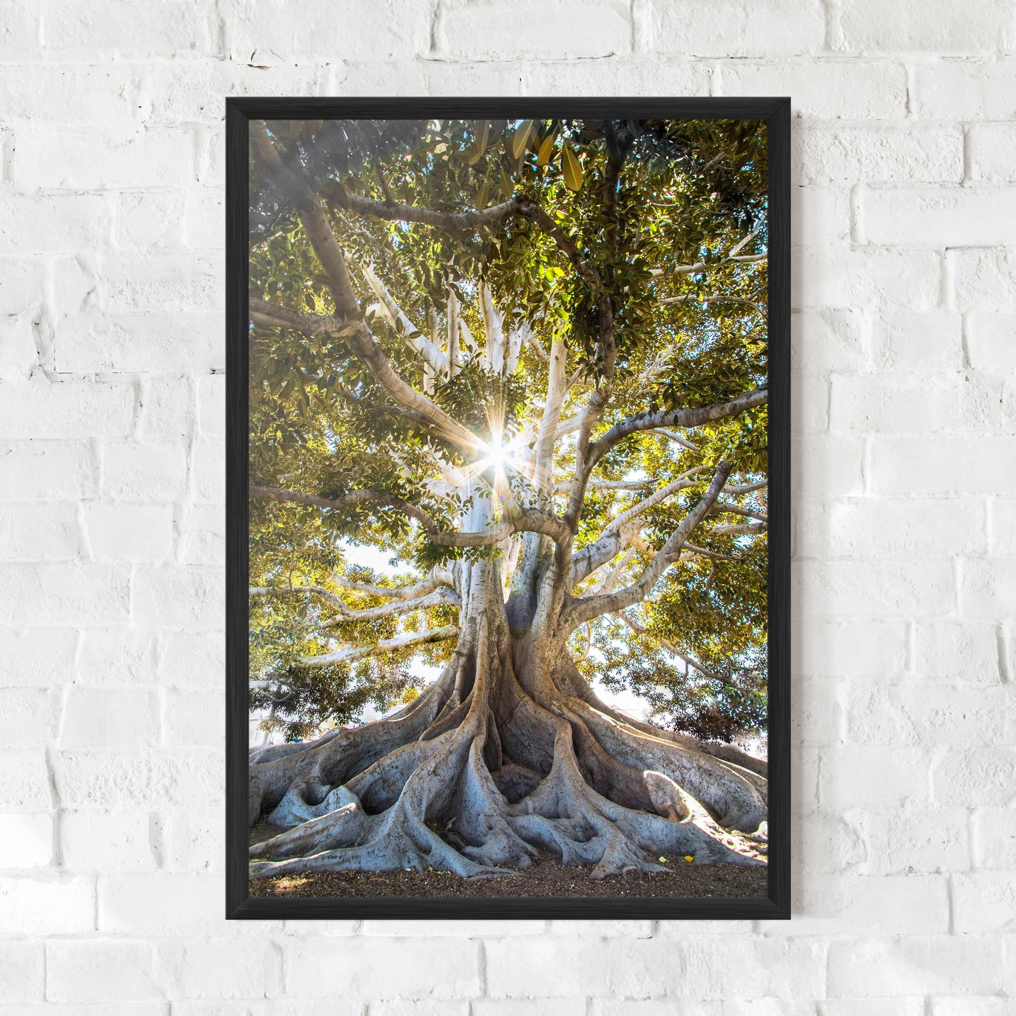 Plakat w Ramie Big Old Tree mockup 0