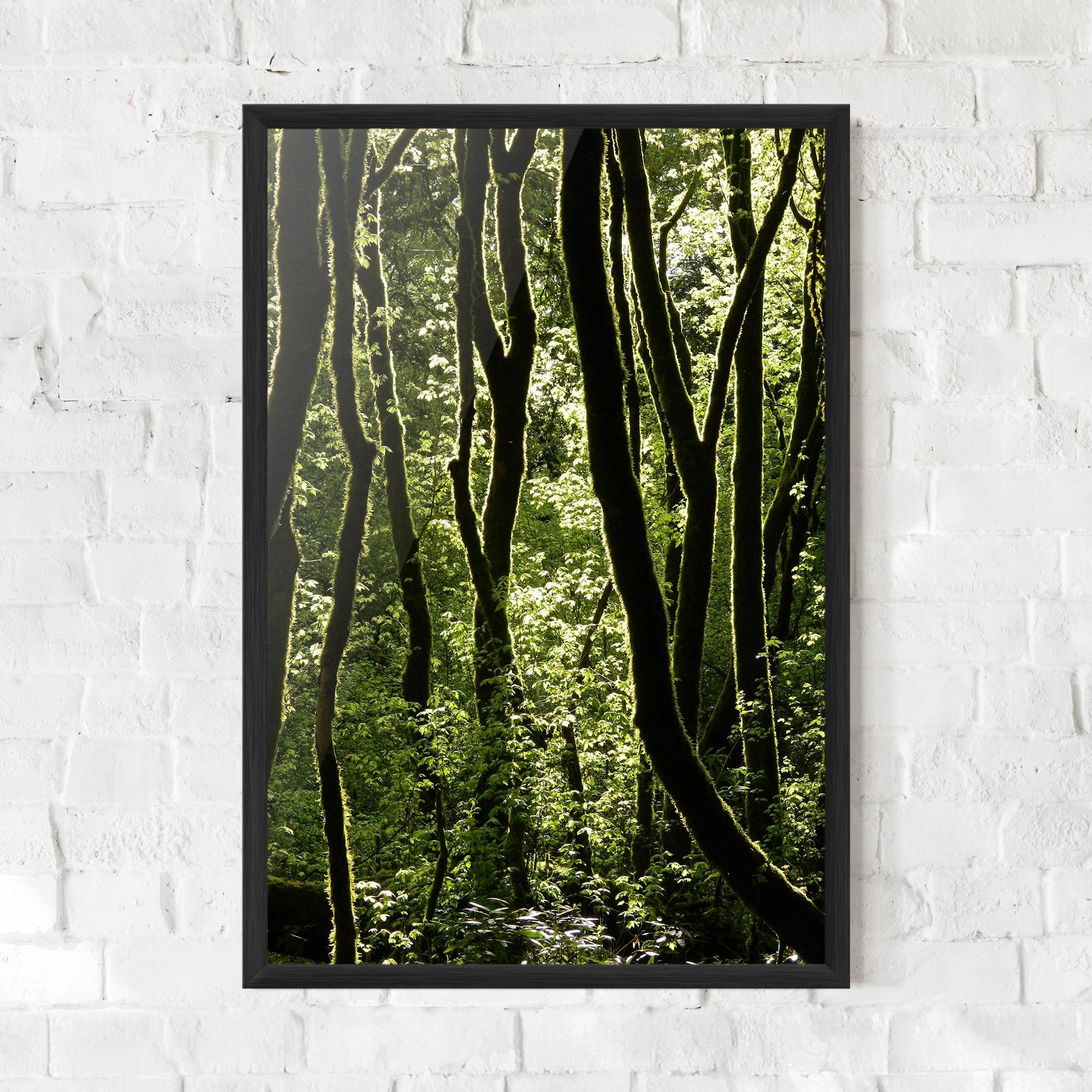 Plakat w Ramie Forest Black Trees mockup 0
