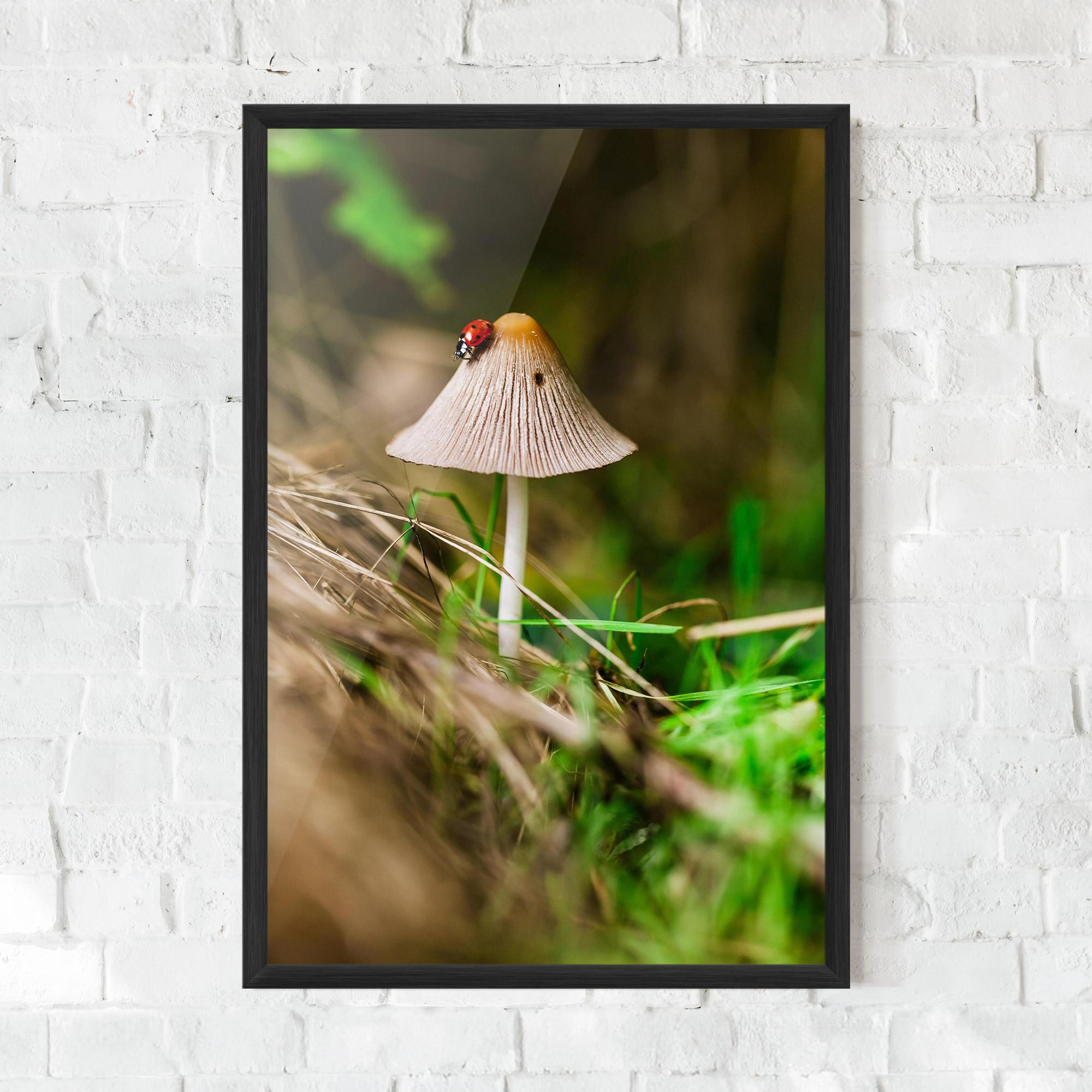 Plakat w Ramie Mushroom Forest mockup 0