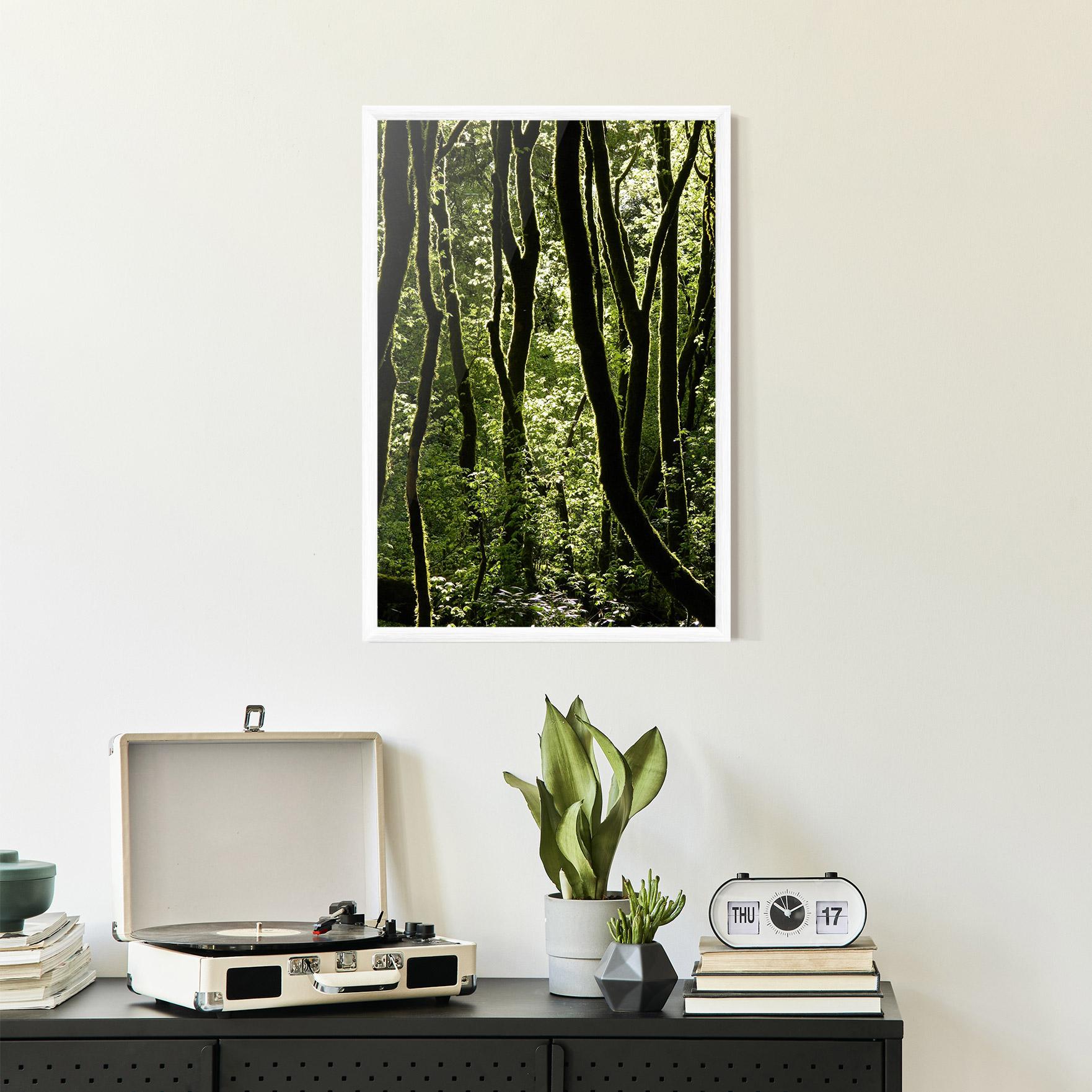 Plakat w Ramie Forest Black Trees mockup 2