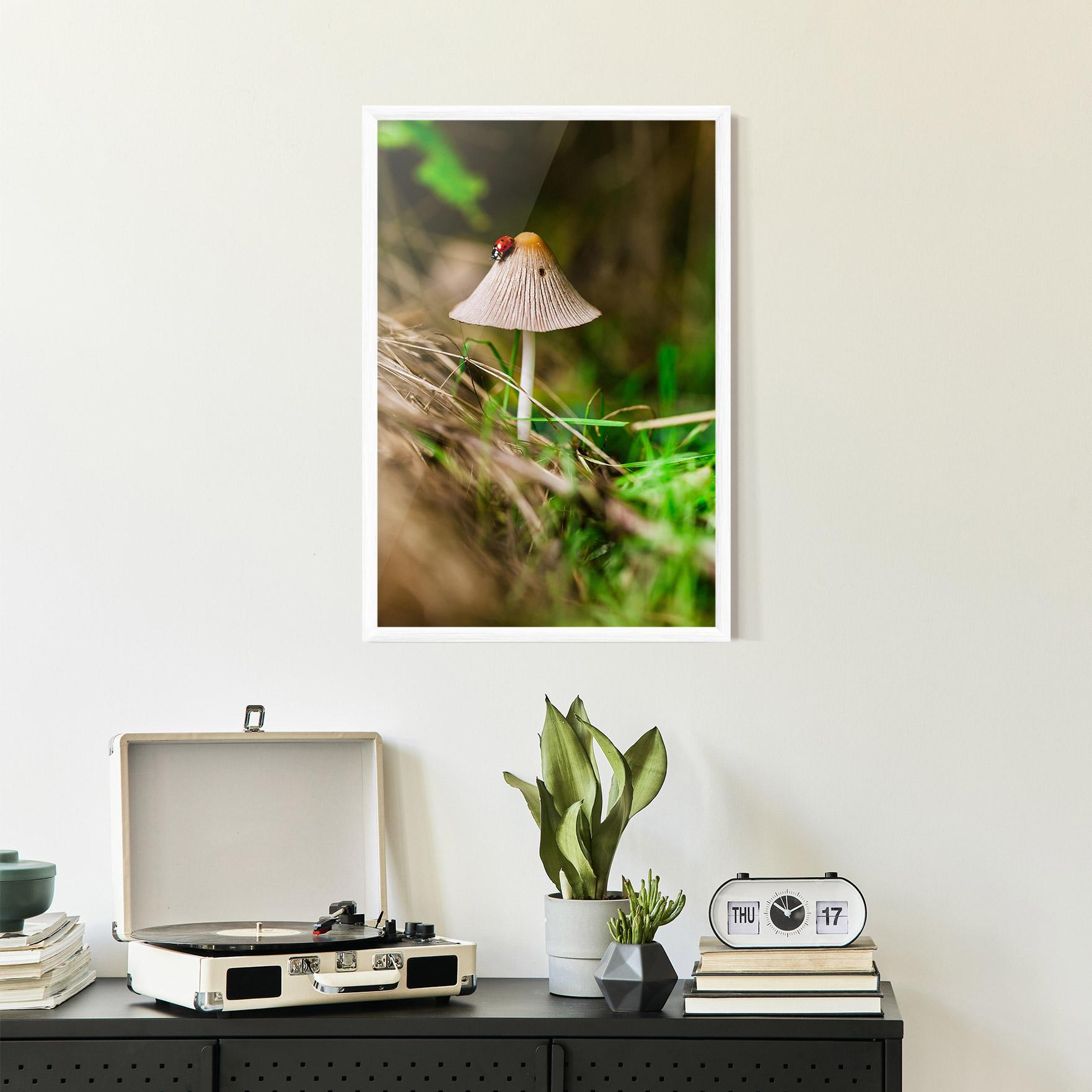 Plakat w Ramie Mushroom Forest mockup 2
