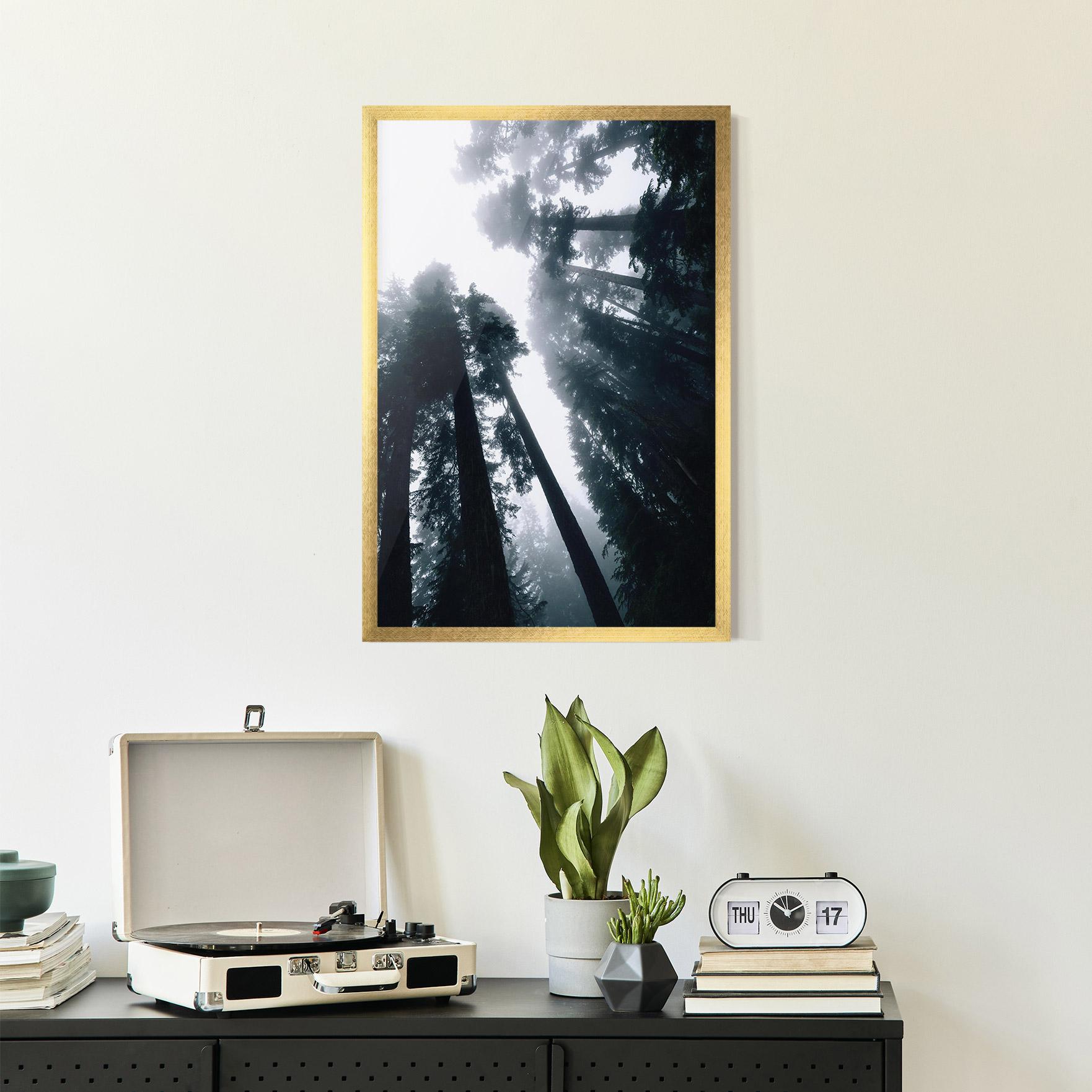 Plakat w Ramie Foggy Big Trees mockup 2
