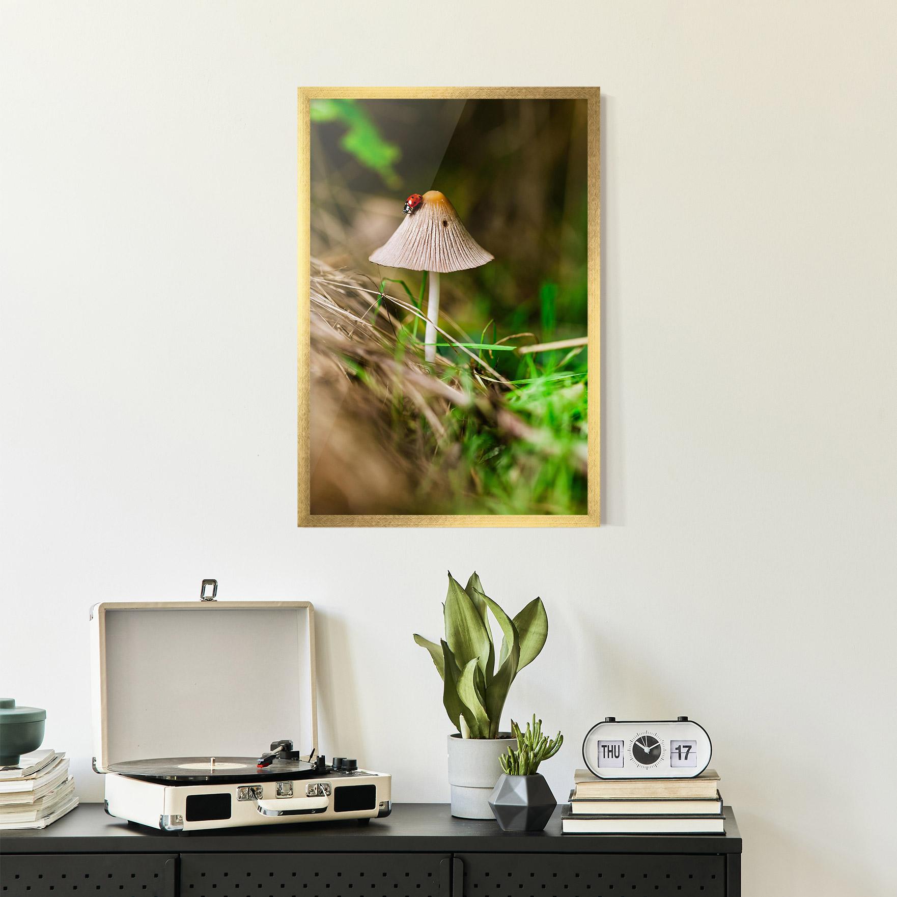 Plakat w Ramie Mushroom Forest mockup 2