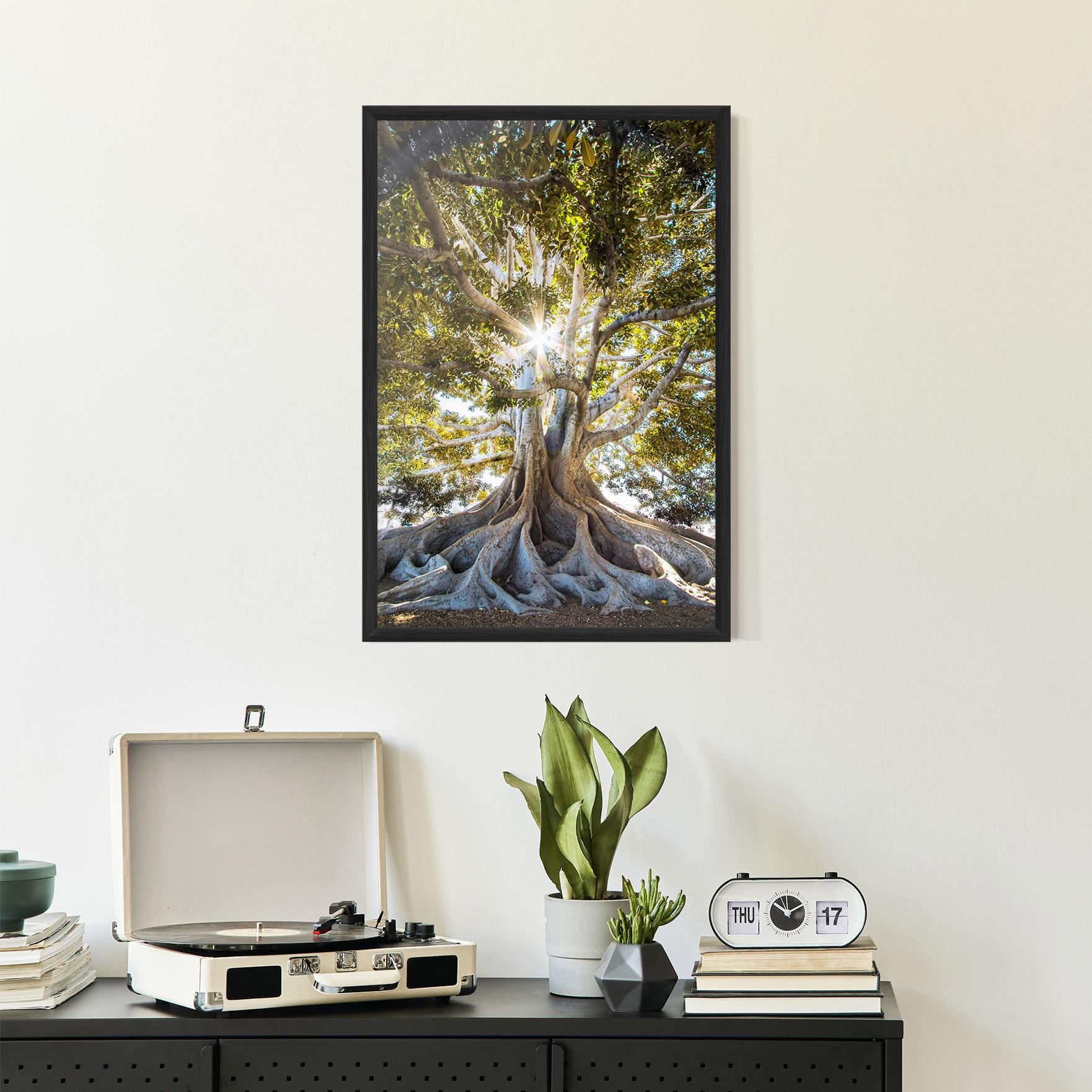 Plakat w Ramie Big Old Tree mockup 2