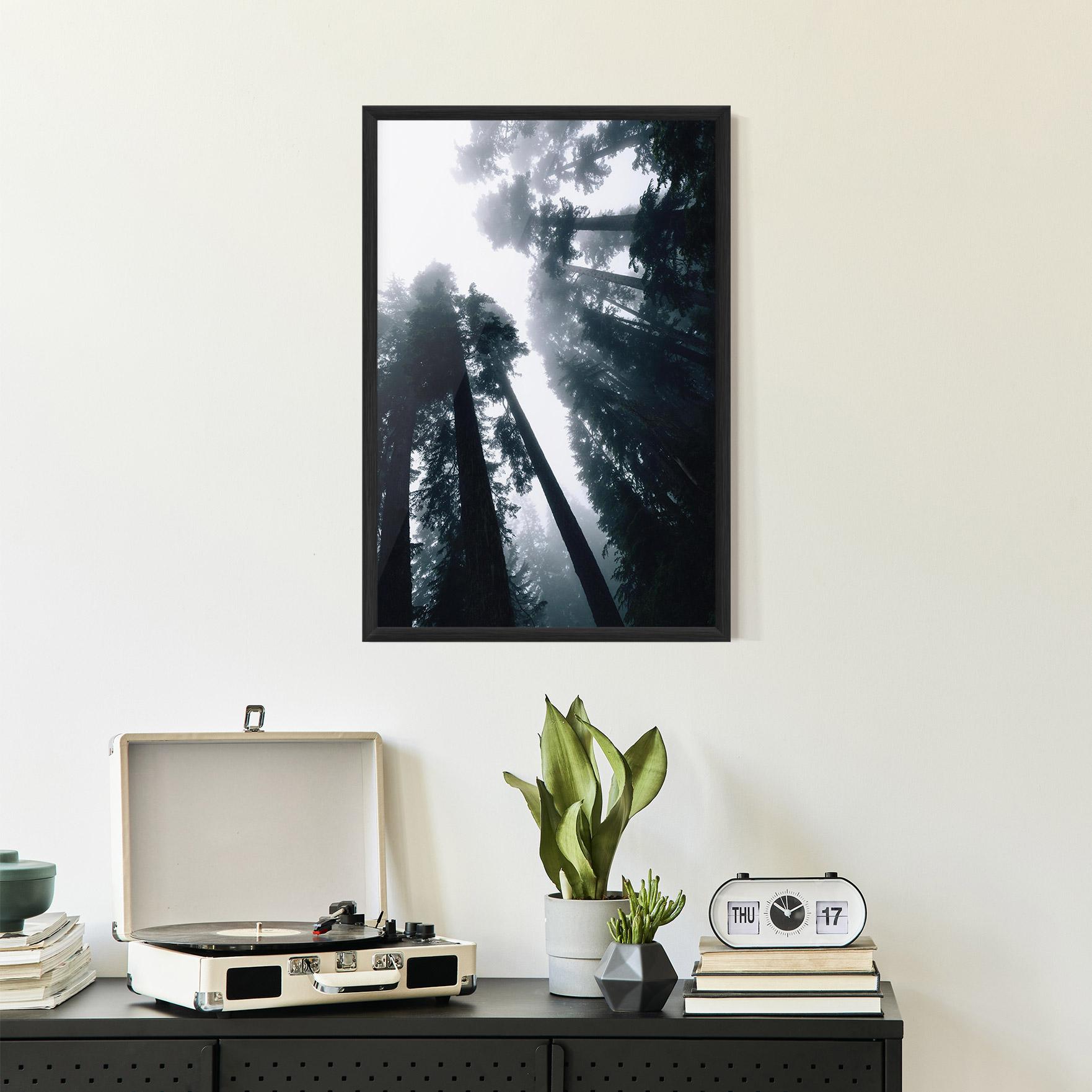 Plakat w Ramie Foggy Big Trees mockup 2