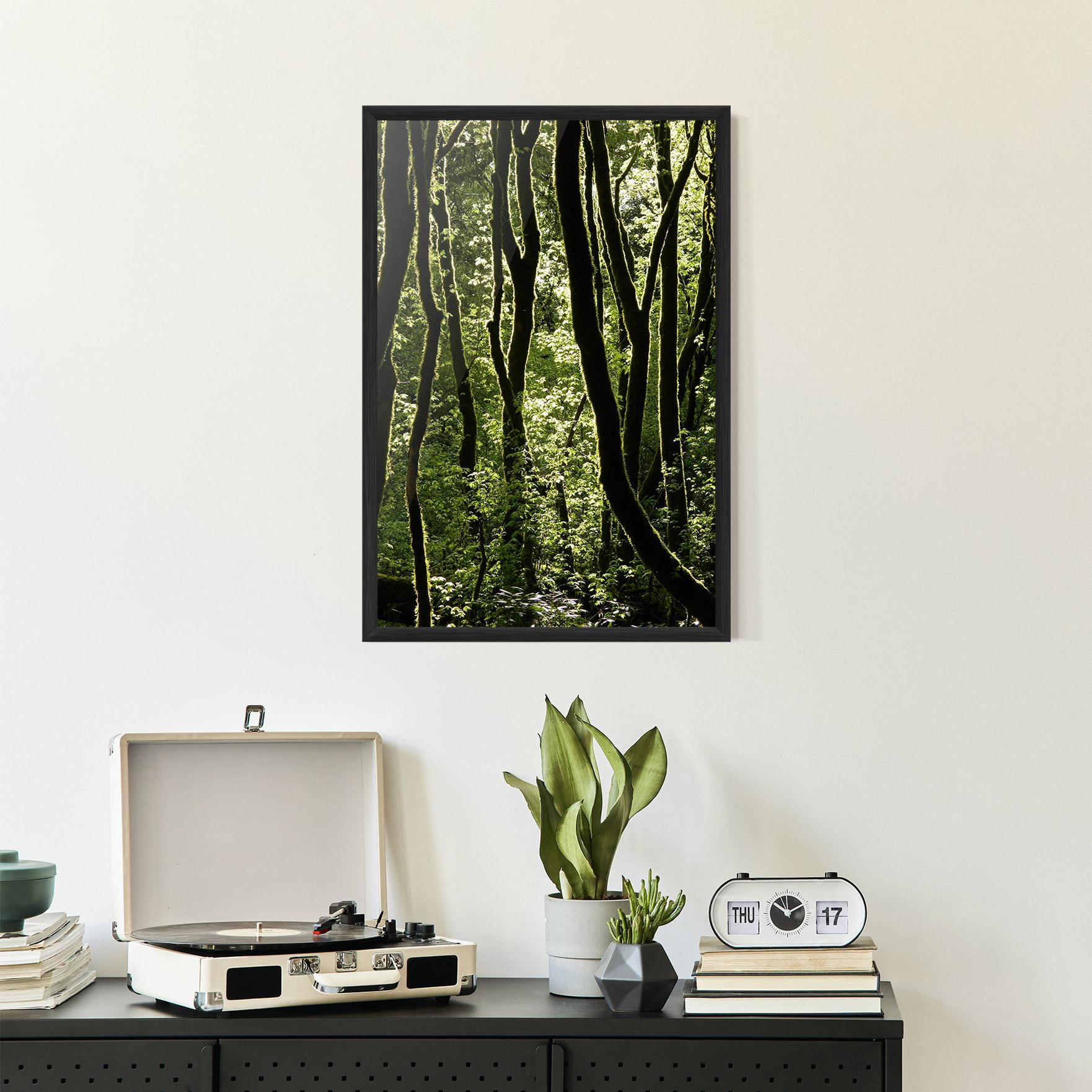 Plakat w Ramie Forest Black Trees mockup 2