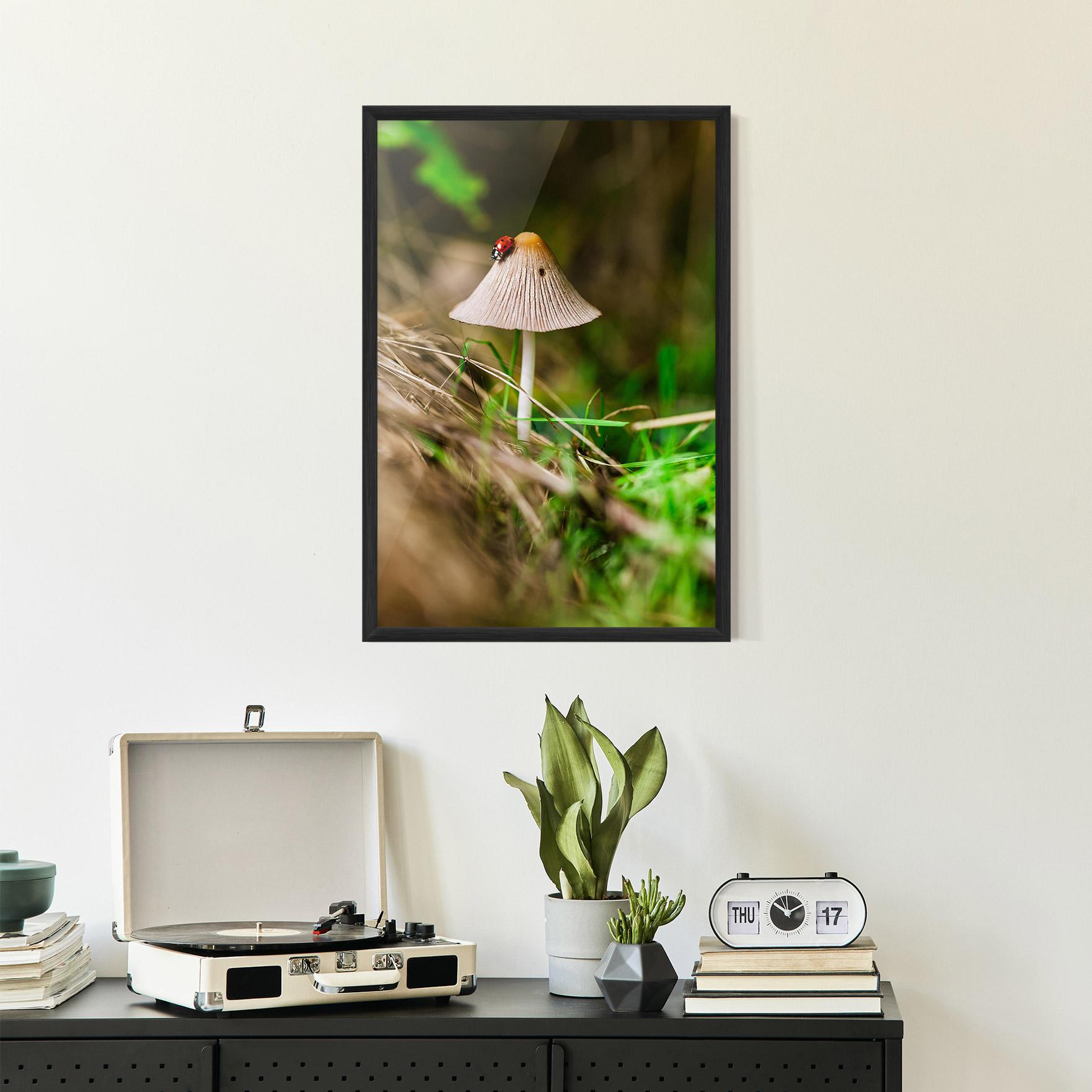 Plakat w Ramie Mushroom Forest mockup 2
