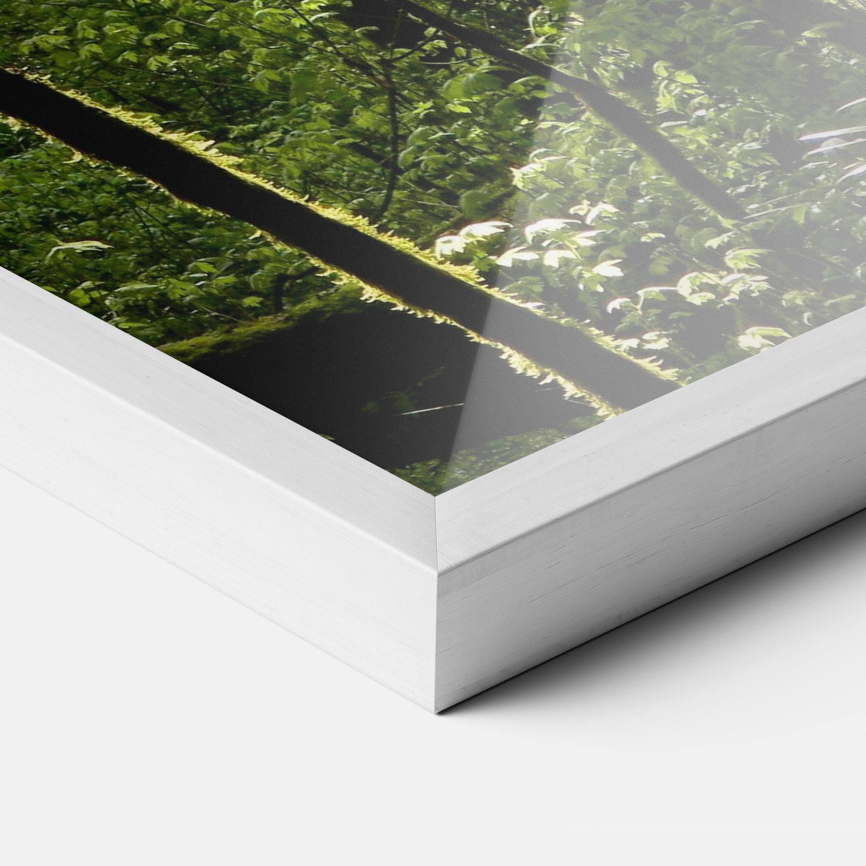 Plakat w Ramie Forest Black Trees mockup 3
