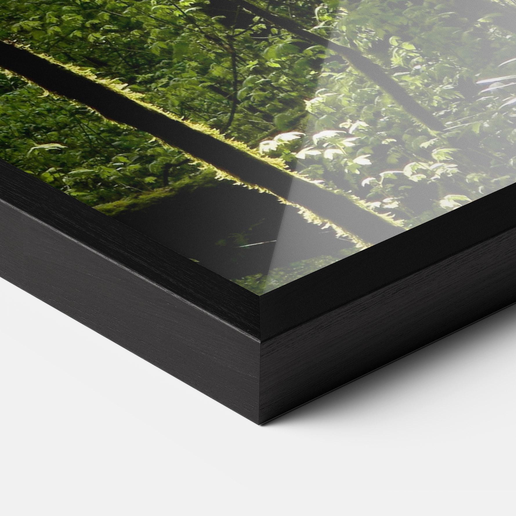 Plakat w Ramie Forest Black Trees mockup 3