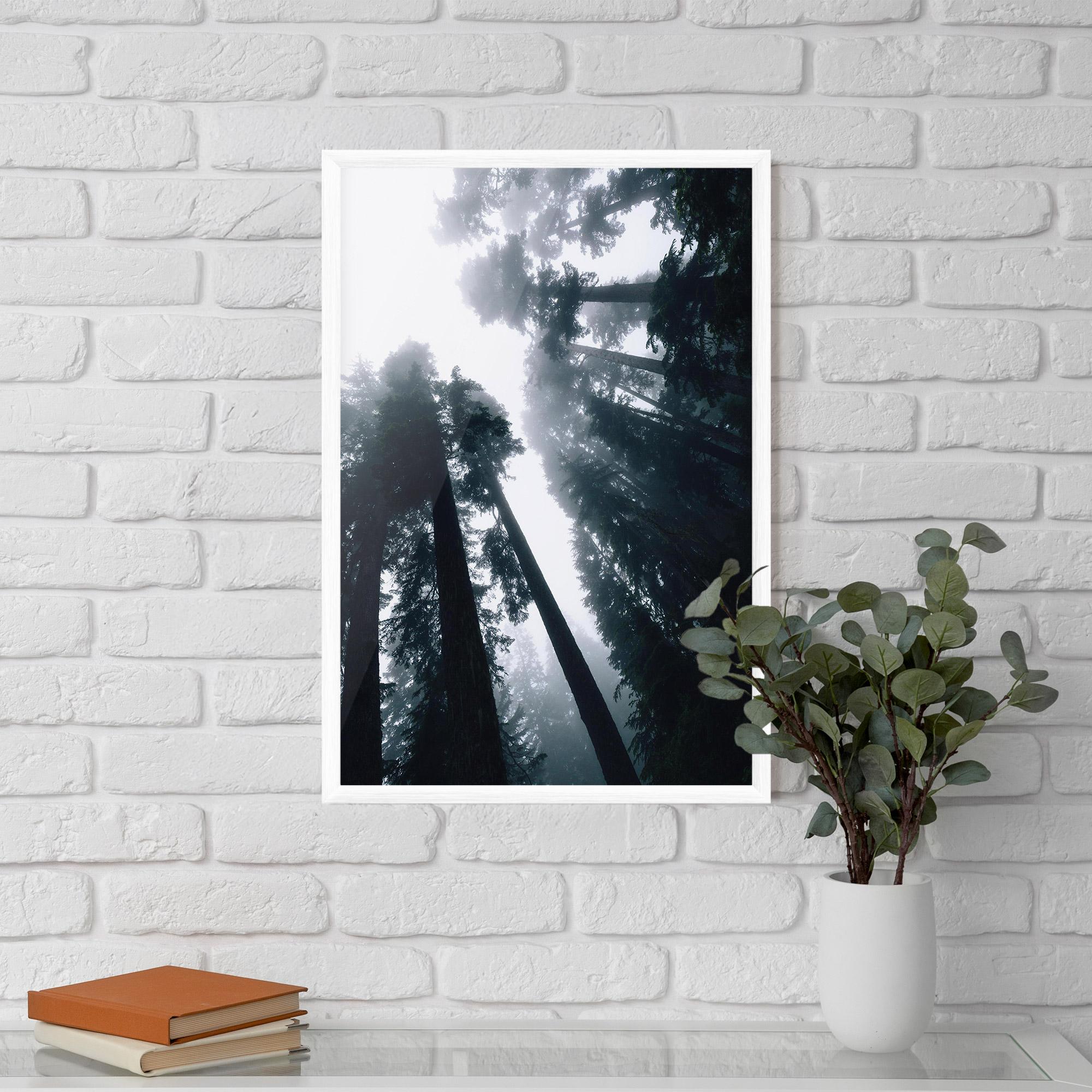 Plakat w Ramie Foggy Big Trees mockup 5