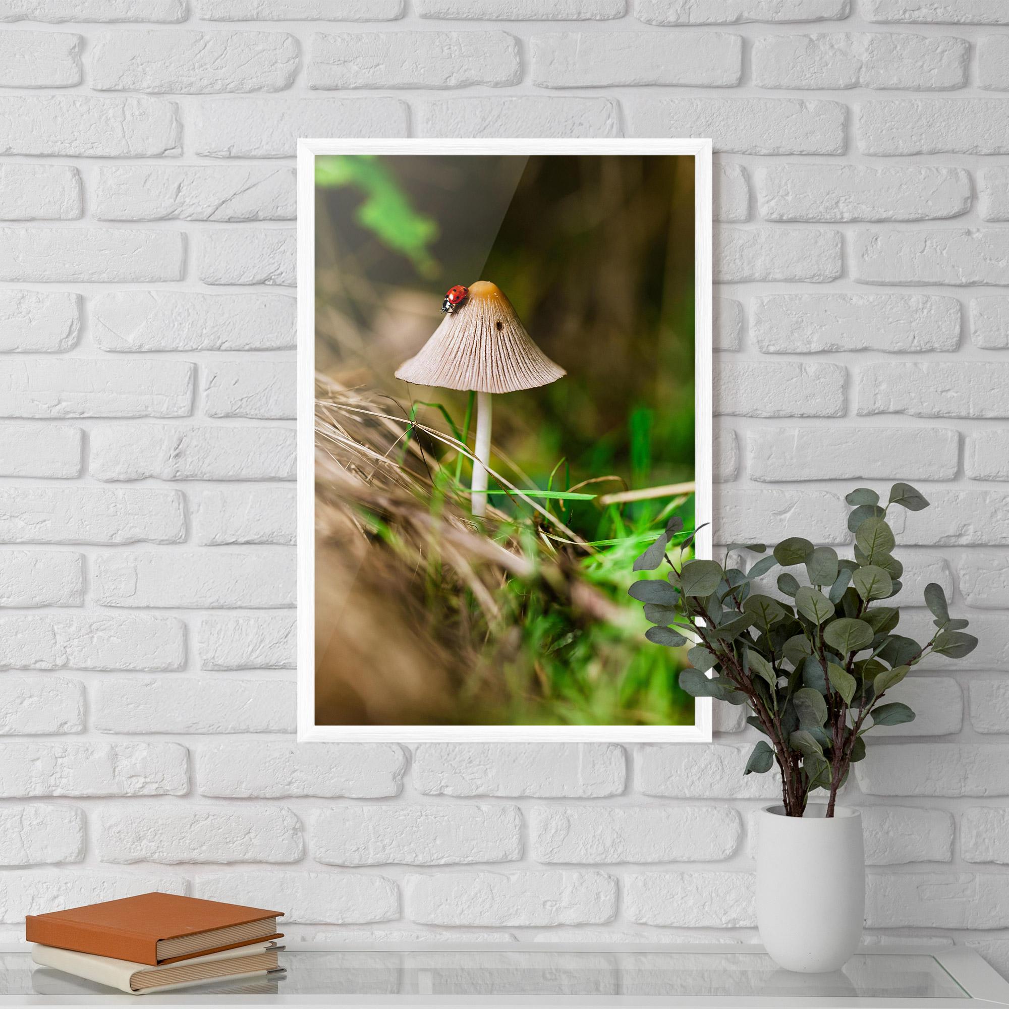Plakat w Ramie Mushroom Forest mockup 5
