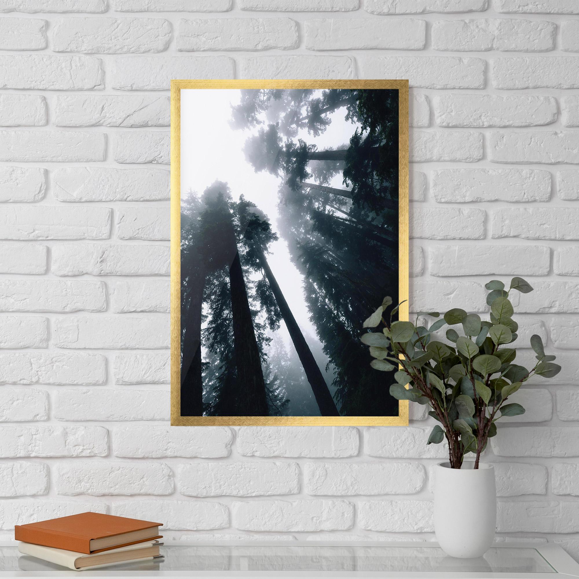 Plakat w Ramie Foggy Big Trees mockup 5