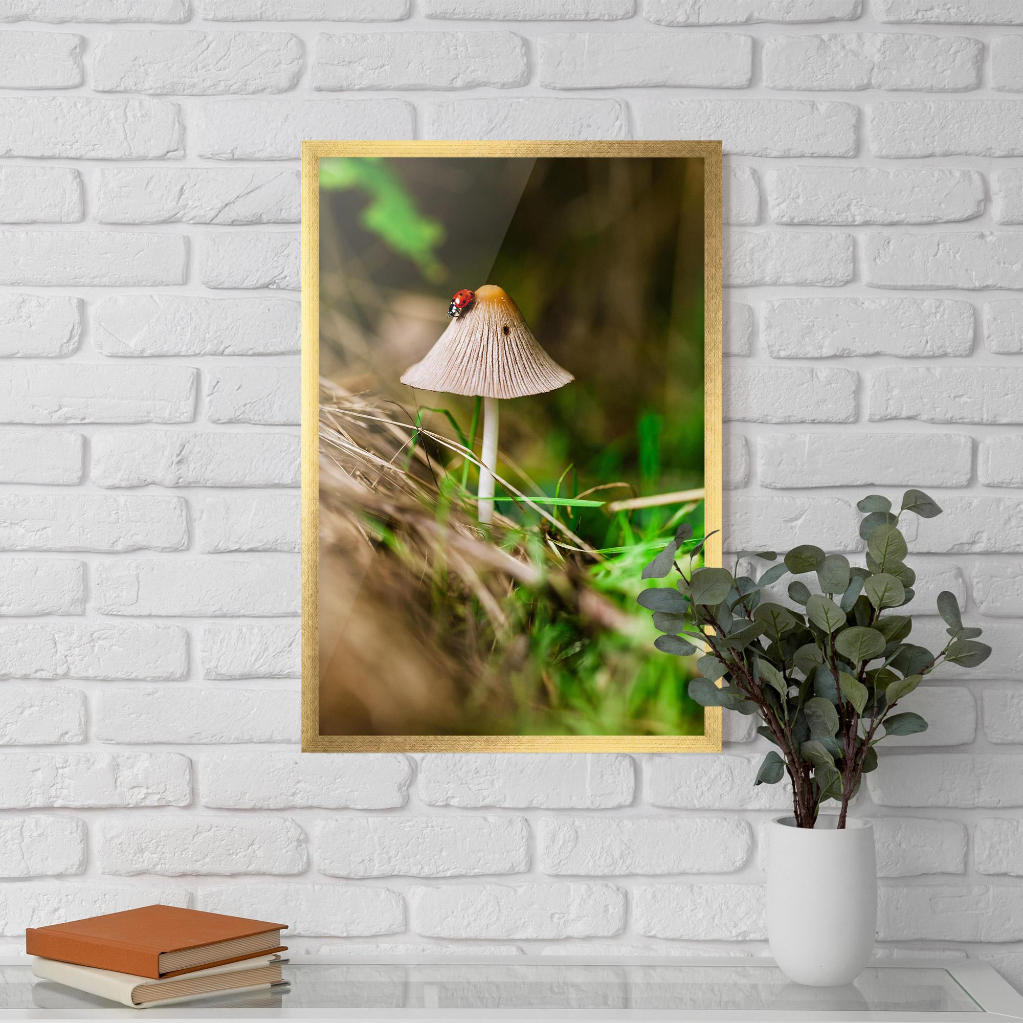 Plakat w Ramie Mushroom Forest mockup 5
