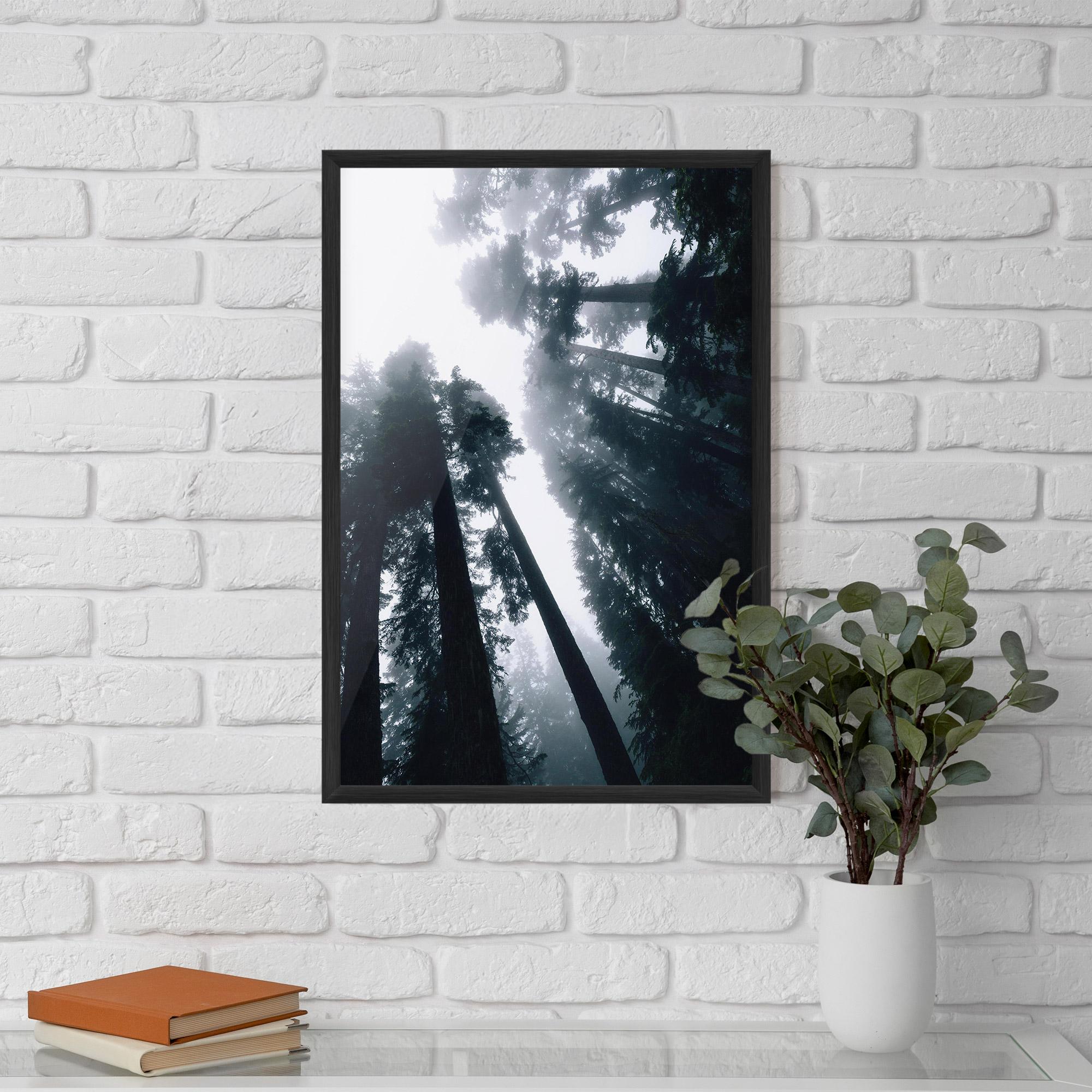 Plakat w Ramie Foggy Big Trees mockup 5