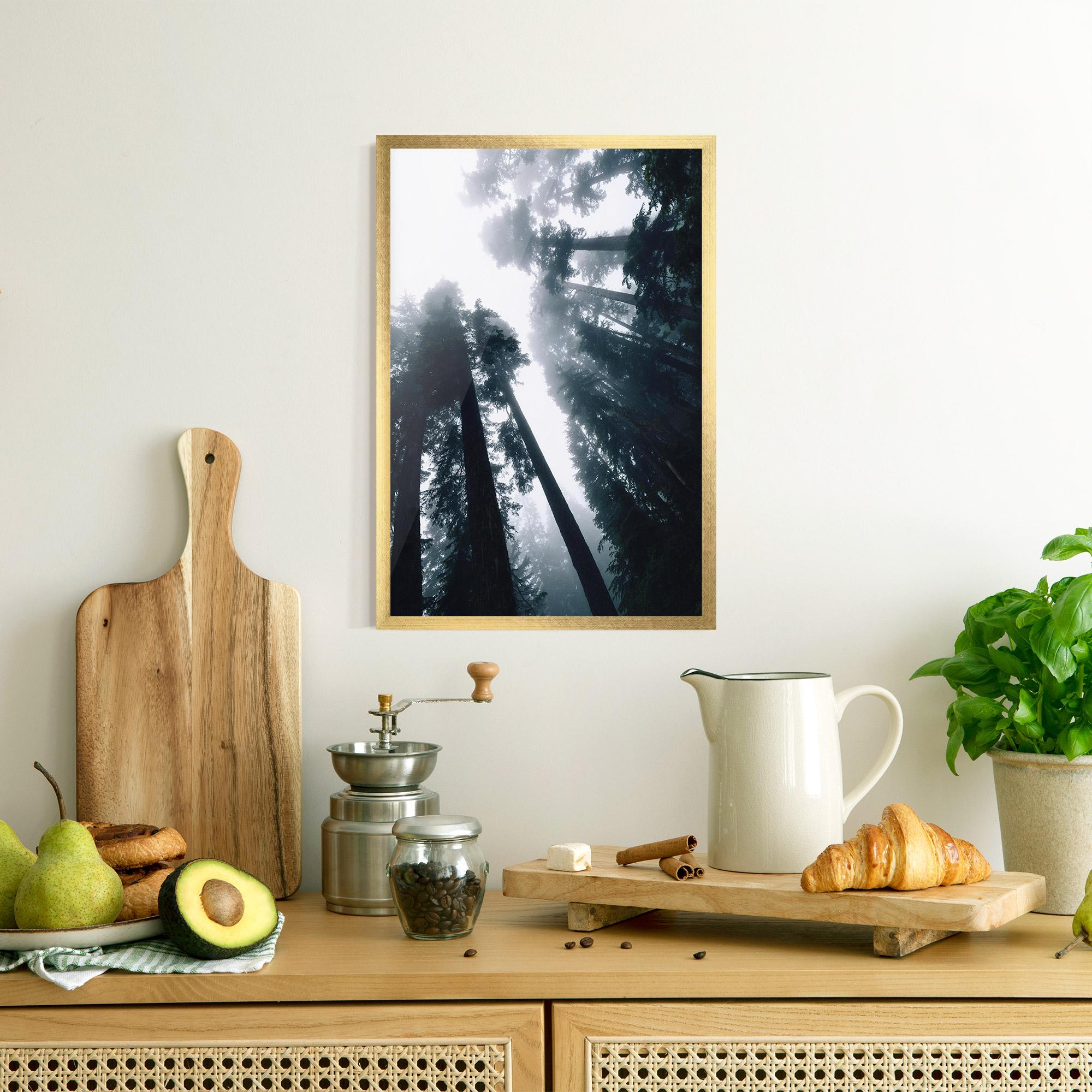 Plakat w Ramie Foggy Big Trees mockup 8