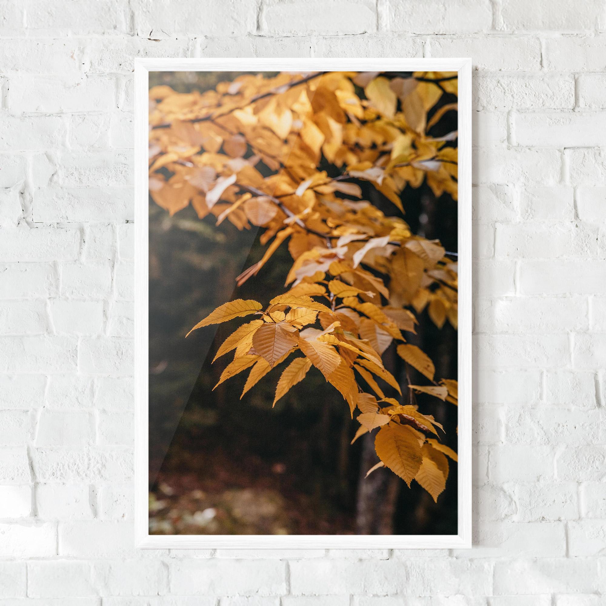 Plakat w Ramie Autumn Nature mockup 0