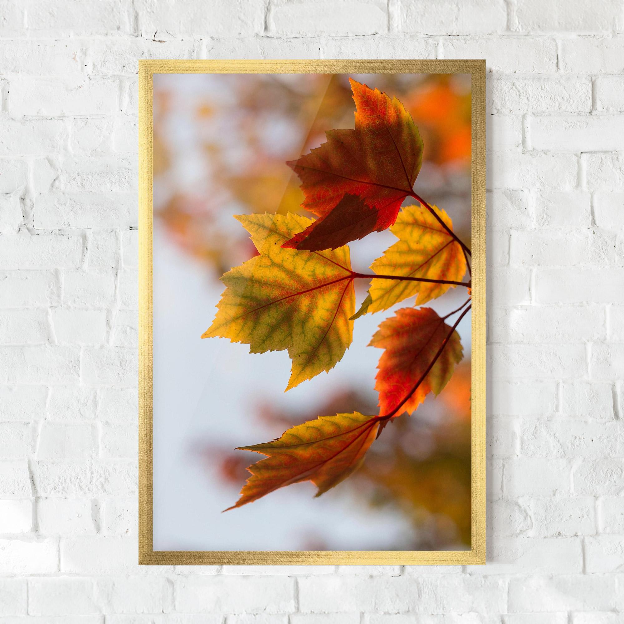 Plakat w Ramie Red Yellow Autumn mockup 0