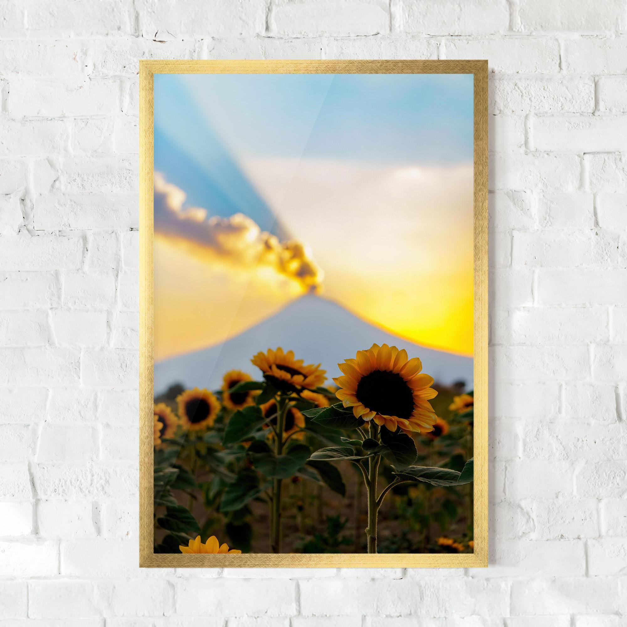 Plakat w Ramie Sunflower Sunset mockup 0