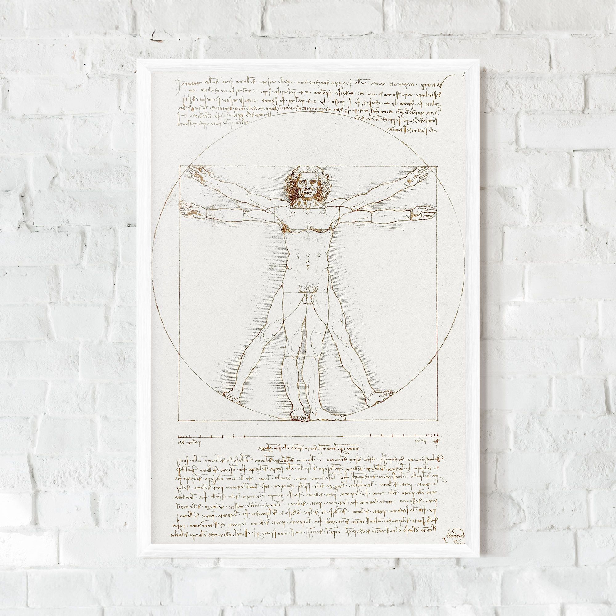 Leonardo Da Vinci's Vitruvian Man mockup 0