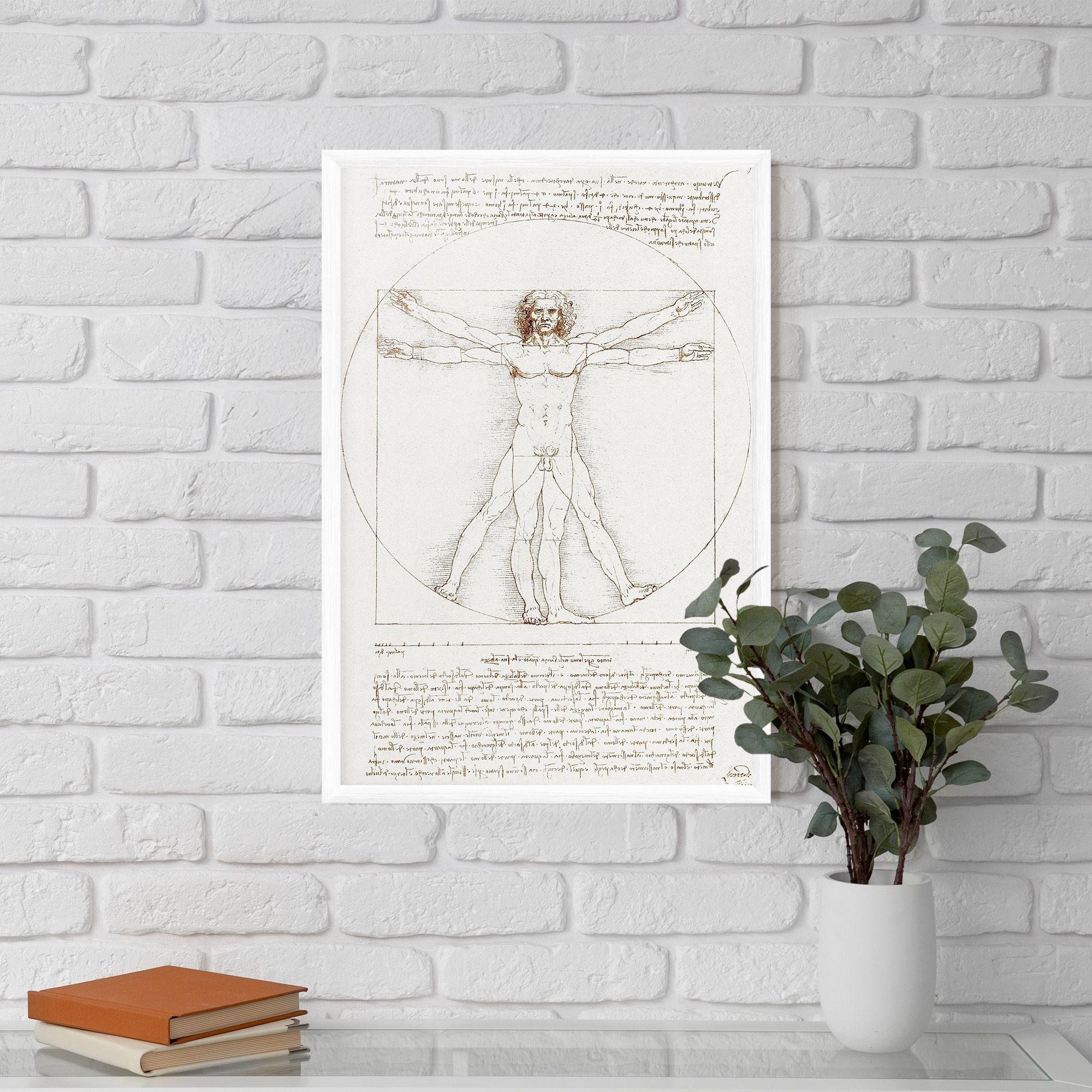 Leonardo Da Vinci's Vitruvian Man mockup 5