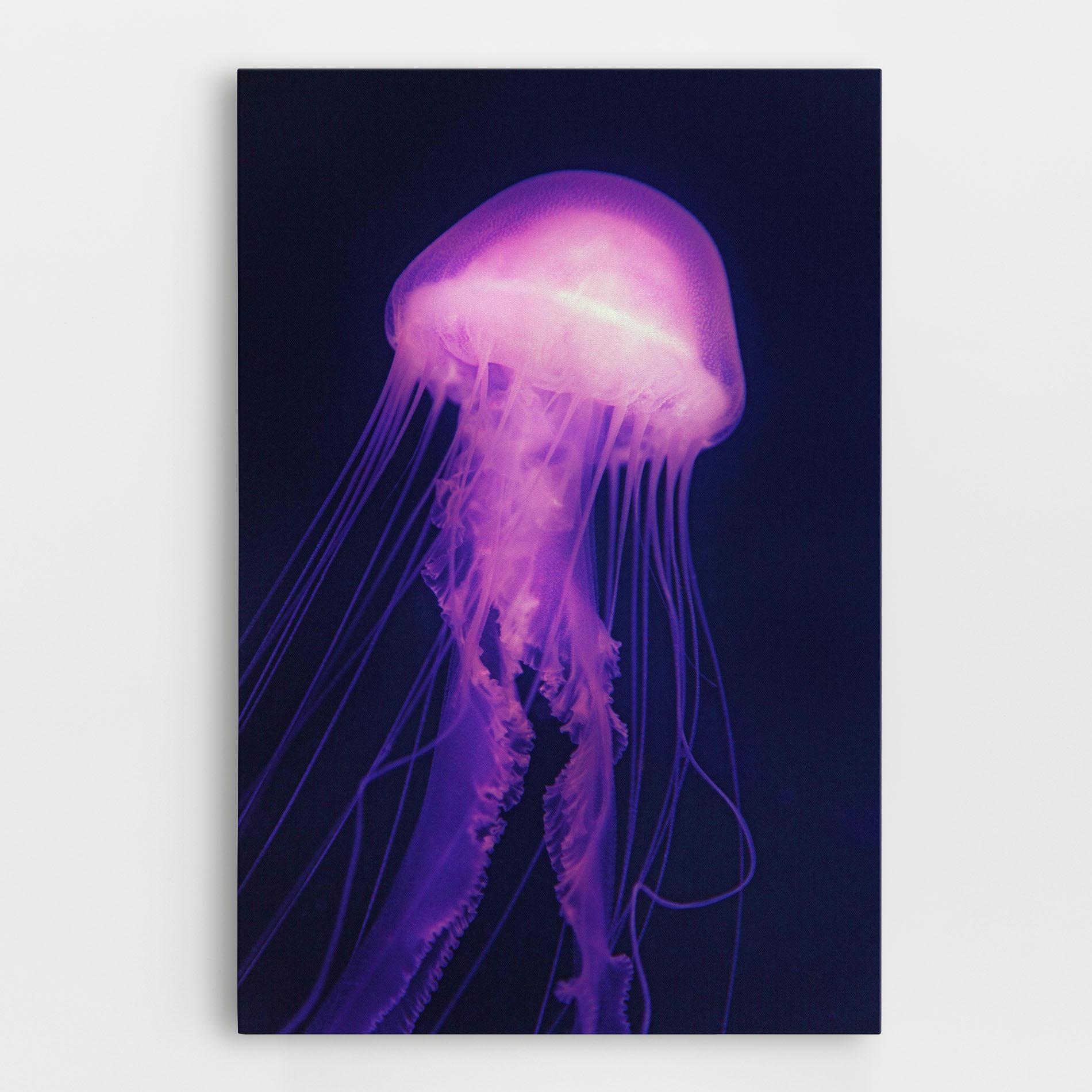 Obraz na Płótnie Light Purple Jellyfish mockup 0