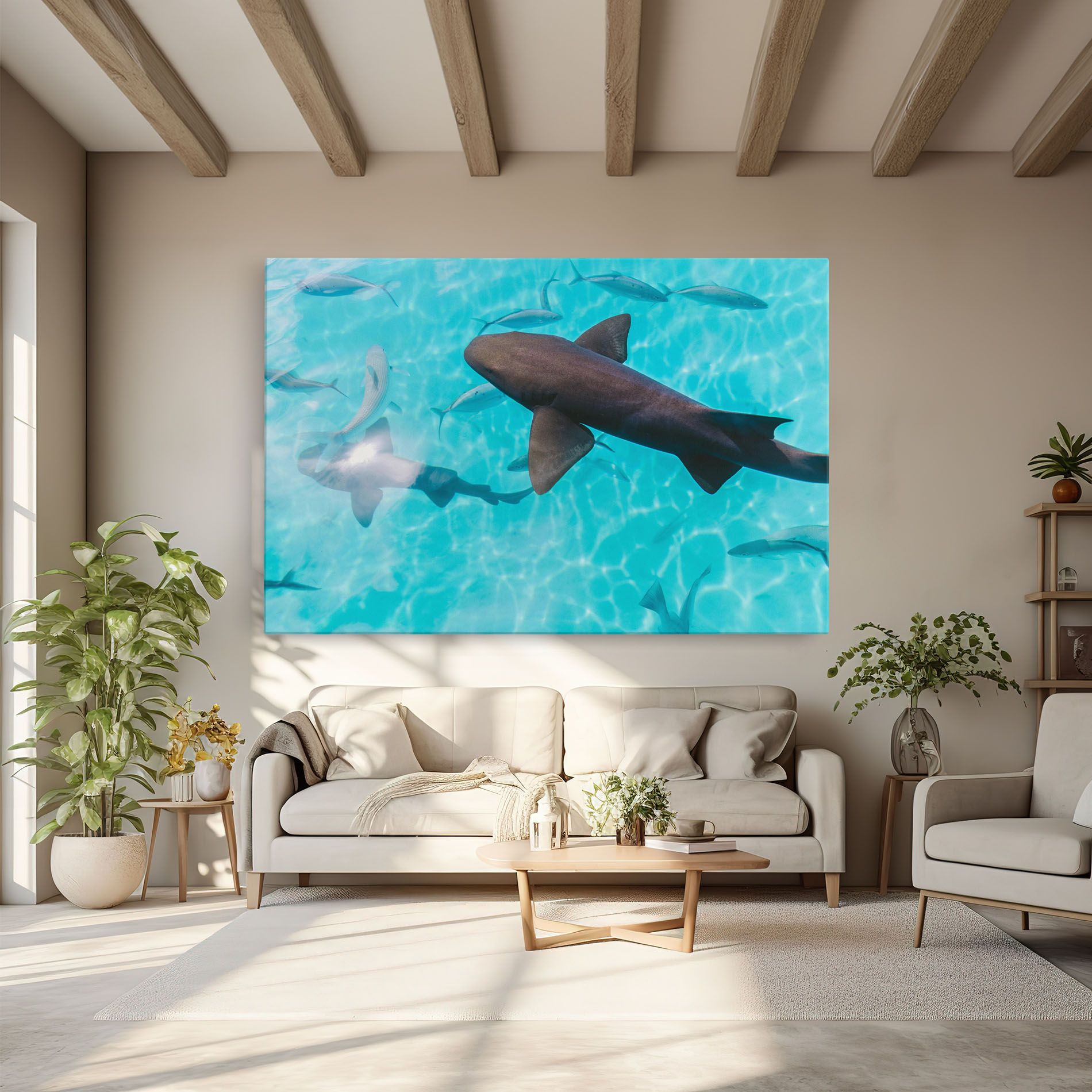 Pretty Shark mockup 6