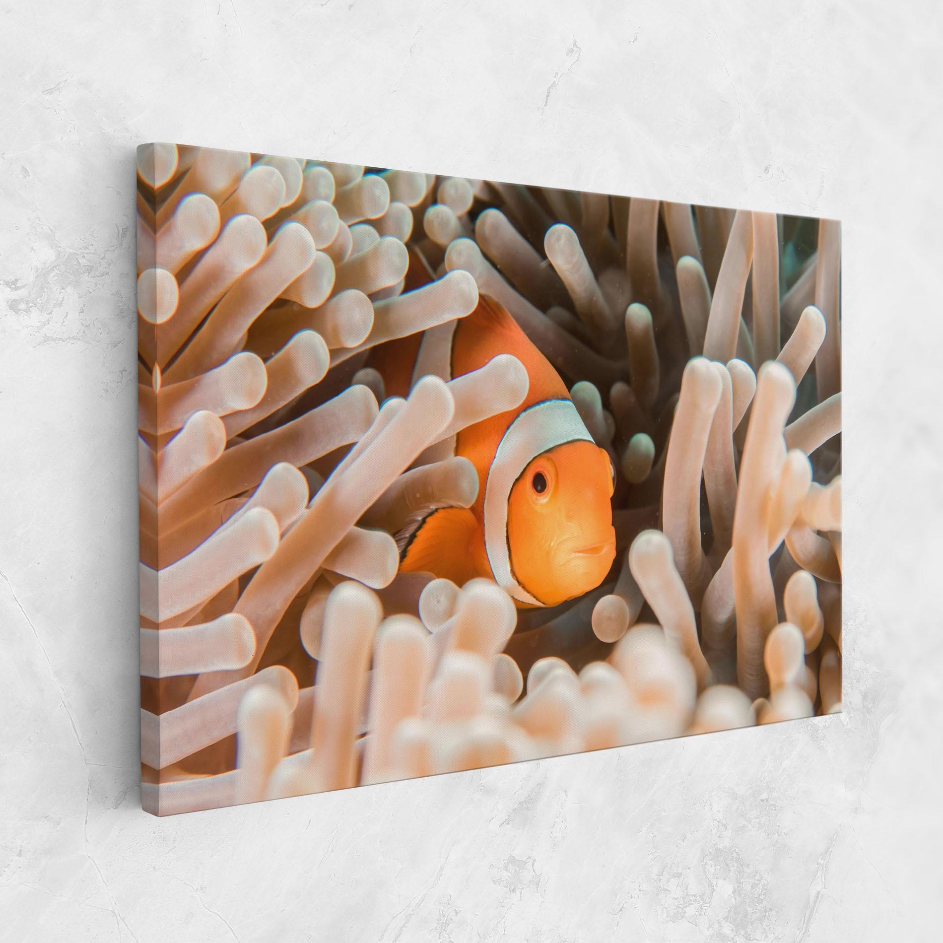 Obraz na Płótnie Cute Nemo mockup 1