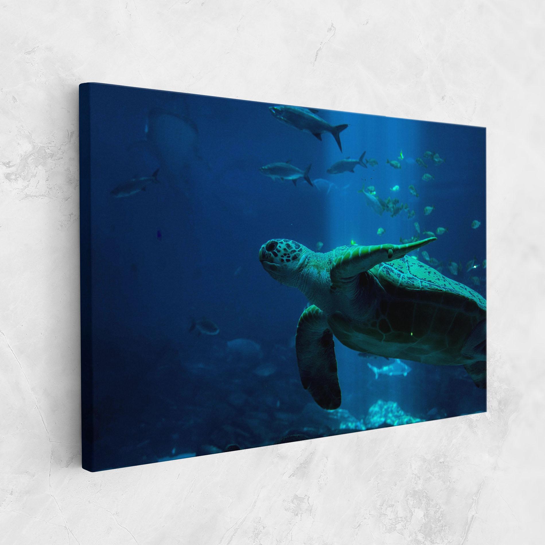 Obraz na Płótnie Green Turtule mockup 1