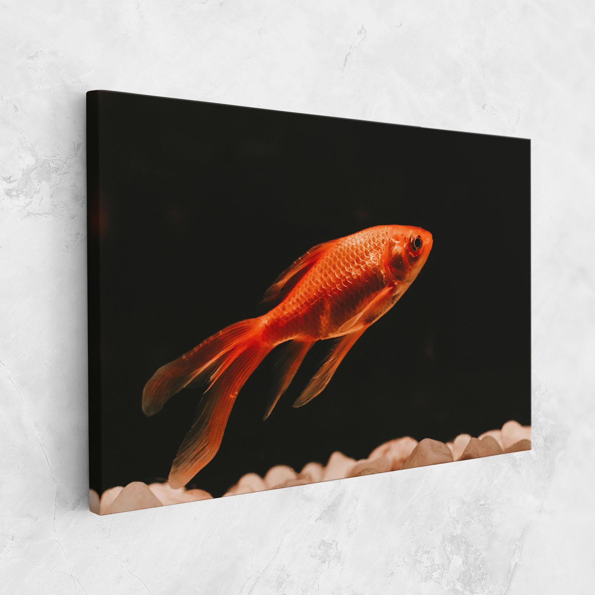 Obraz na Płótnie Small Orange Fish mockup 1