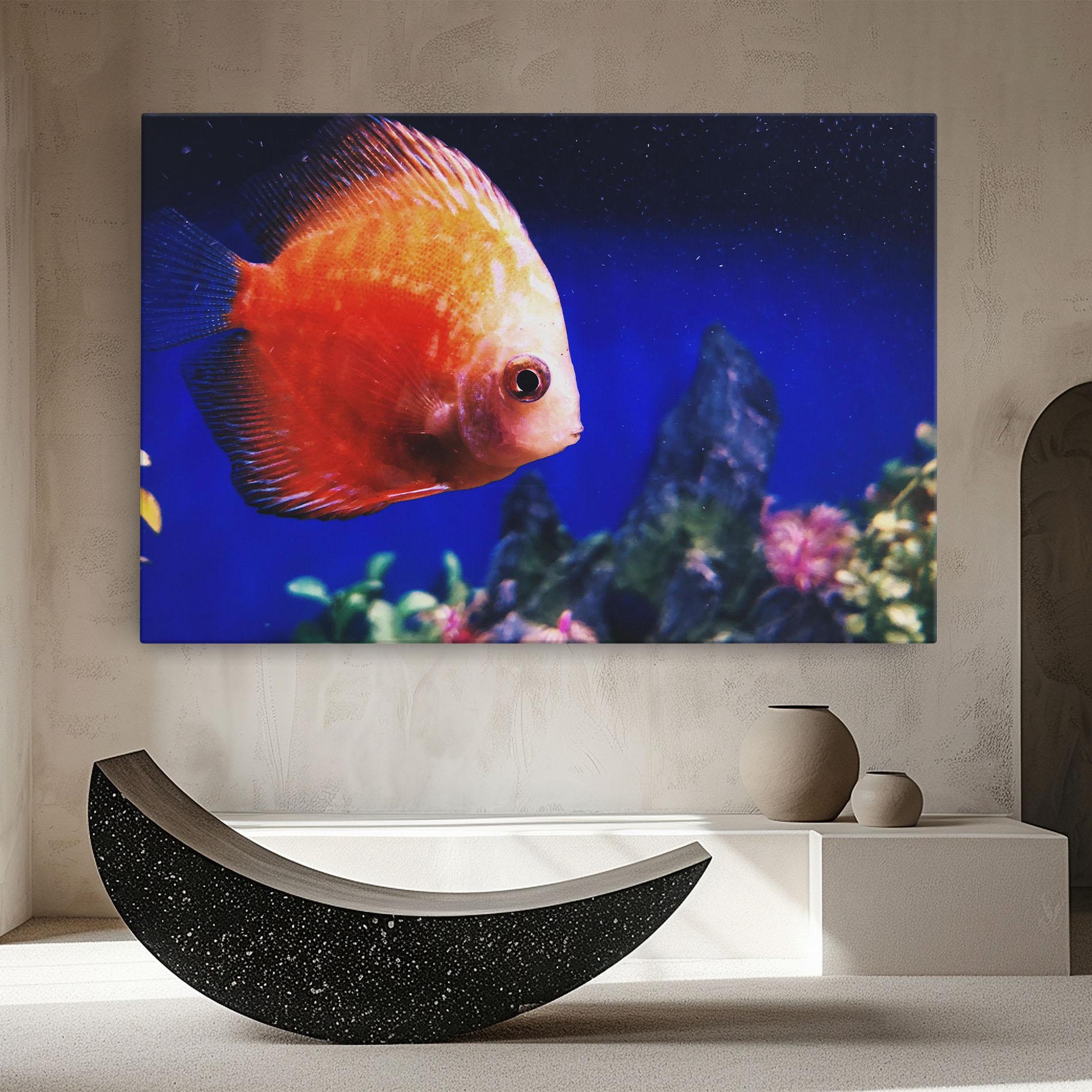 Obraz na Płótnie Pretty Orange Fish mockup 8